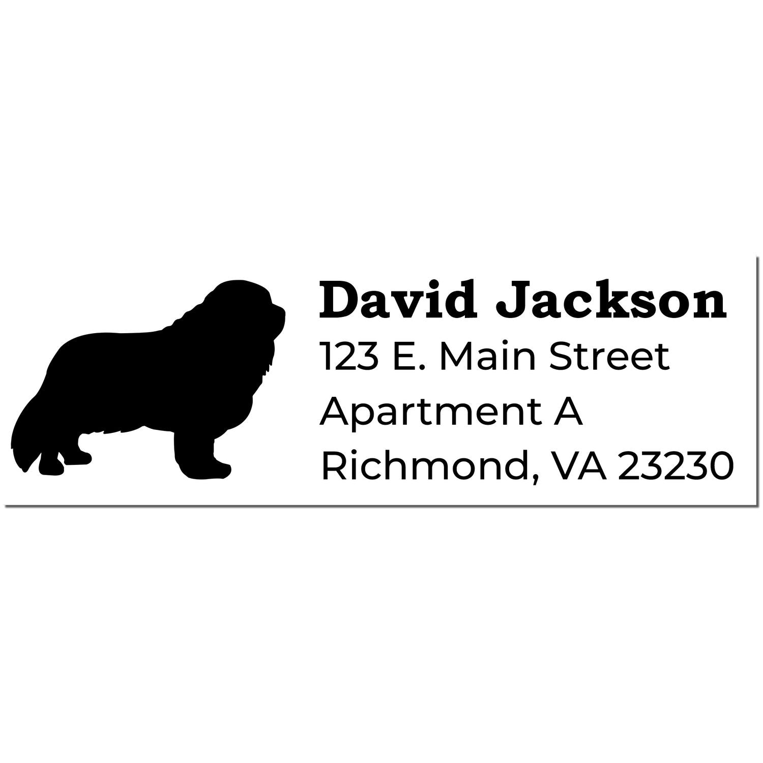 Slim Pre-Inked Cavalier King Charles Address Stamp featuring a silhouette of the dog breed, with sample text: David Jackson, 123 E. Main Street, Apartment A, Richmond, VA 23230 in black ink.