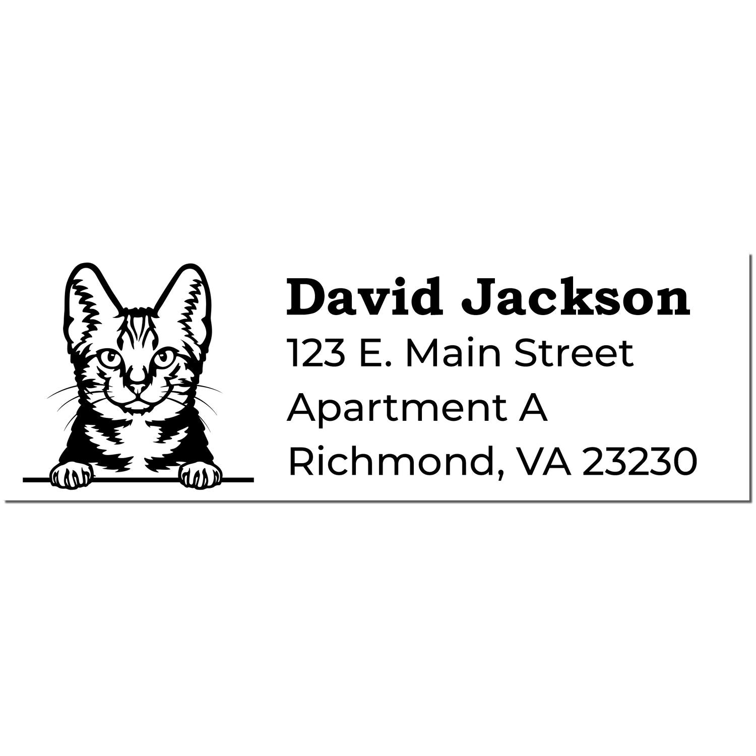 Self-Inking American Shorthair Custom Address Stamp featuring a cat illustration and sample address for David Jackson, 123 E. Main Street, Apartment A, Richmond, VA 23230.