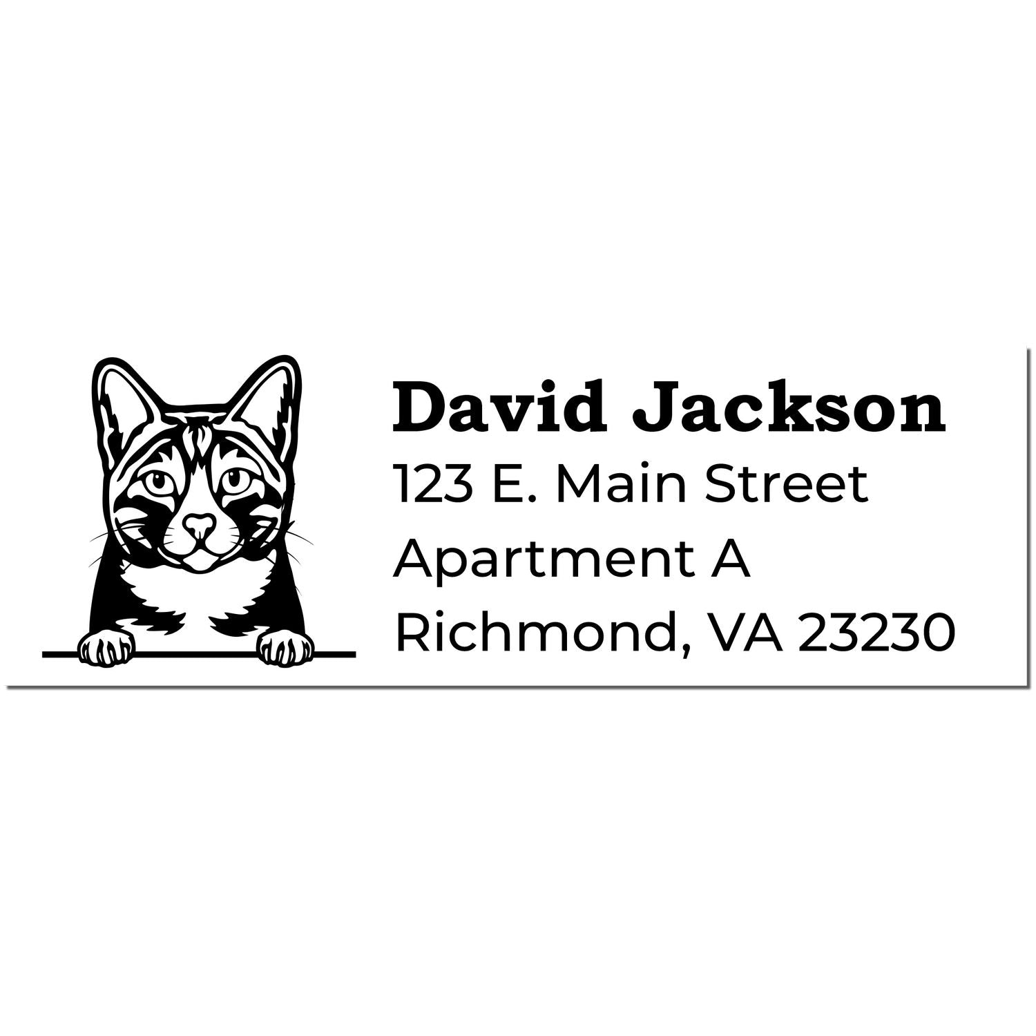 Slim Pre-Inked Arabian Mau Peeking Cat Return Address Stamp featuring a cute cat illustration above the address: David Jackson, 123 E. Main Street, Apartment A, Richmond, VA 23230.