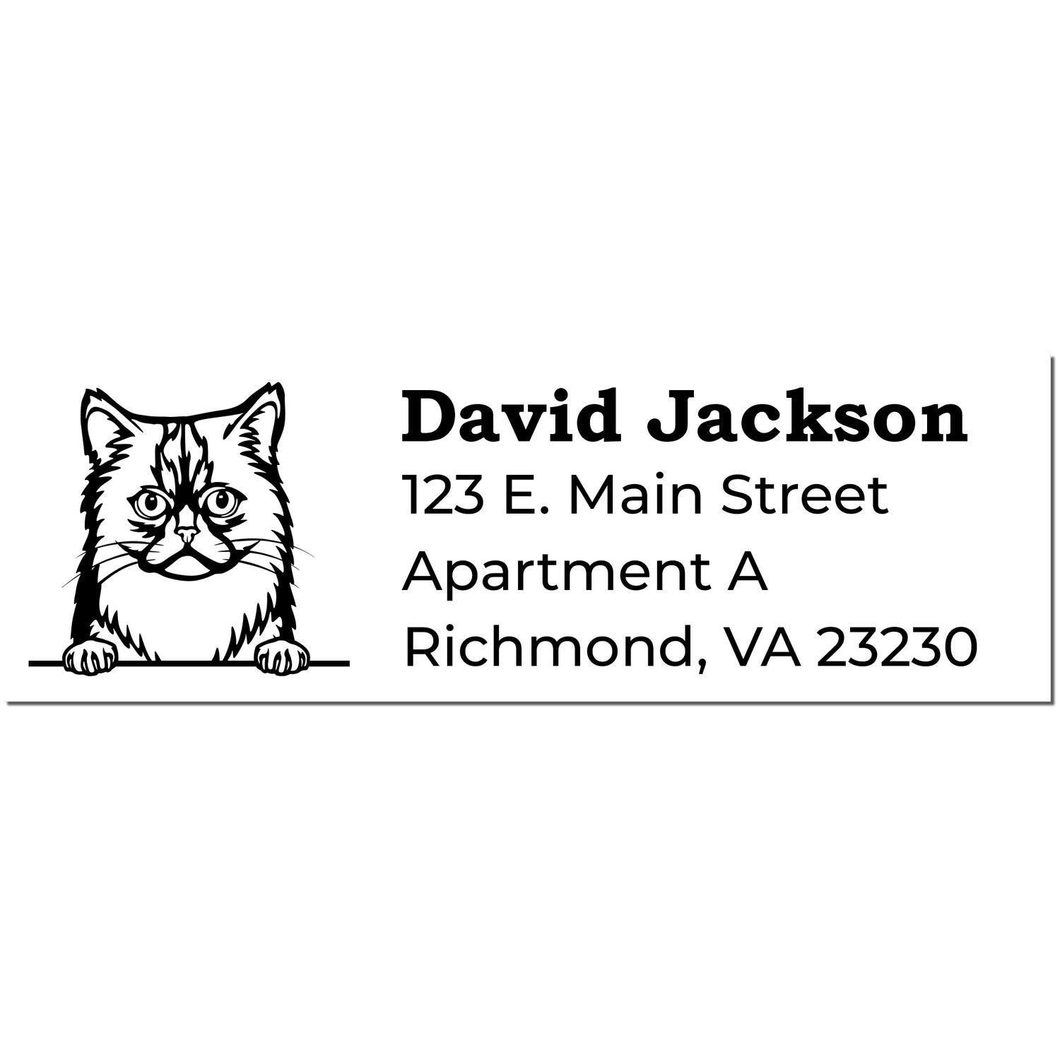 PSI Pre-Inked Peeking Asian Semi Long Hair Cat Personalized Address Stamp featuring a cat illustration above a sample address.