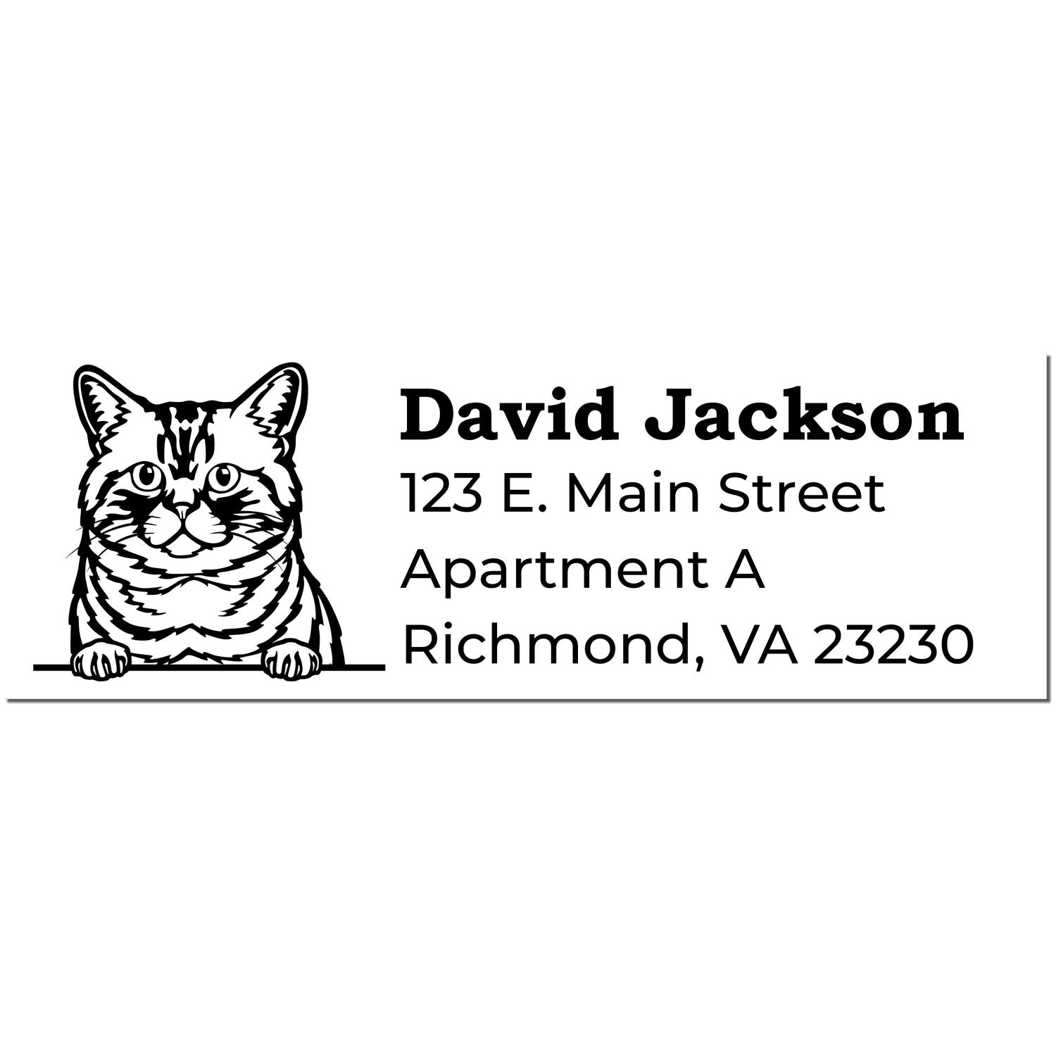 Illustration of a Self-Inking Brazilian Shorthair Custom Address Stamp featuring a cat design with the name David Jackson and an address in Richmond, VA.