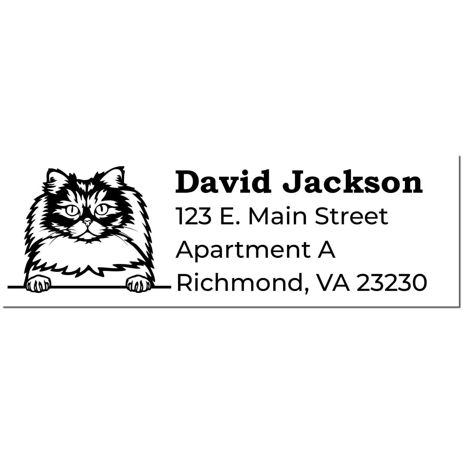 Self-Inking British Longhair Custom Address Stamp featuring a detailed cat illustration and sample address text. Perfect for personalizing mail with style and ease.