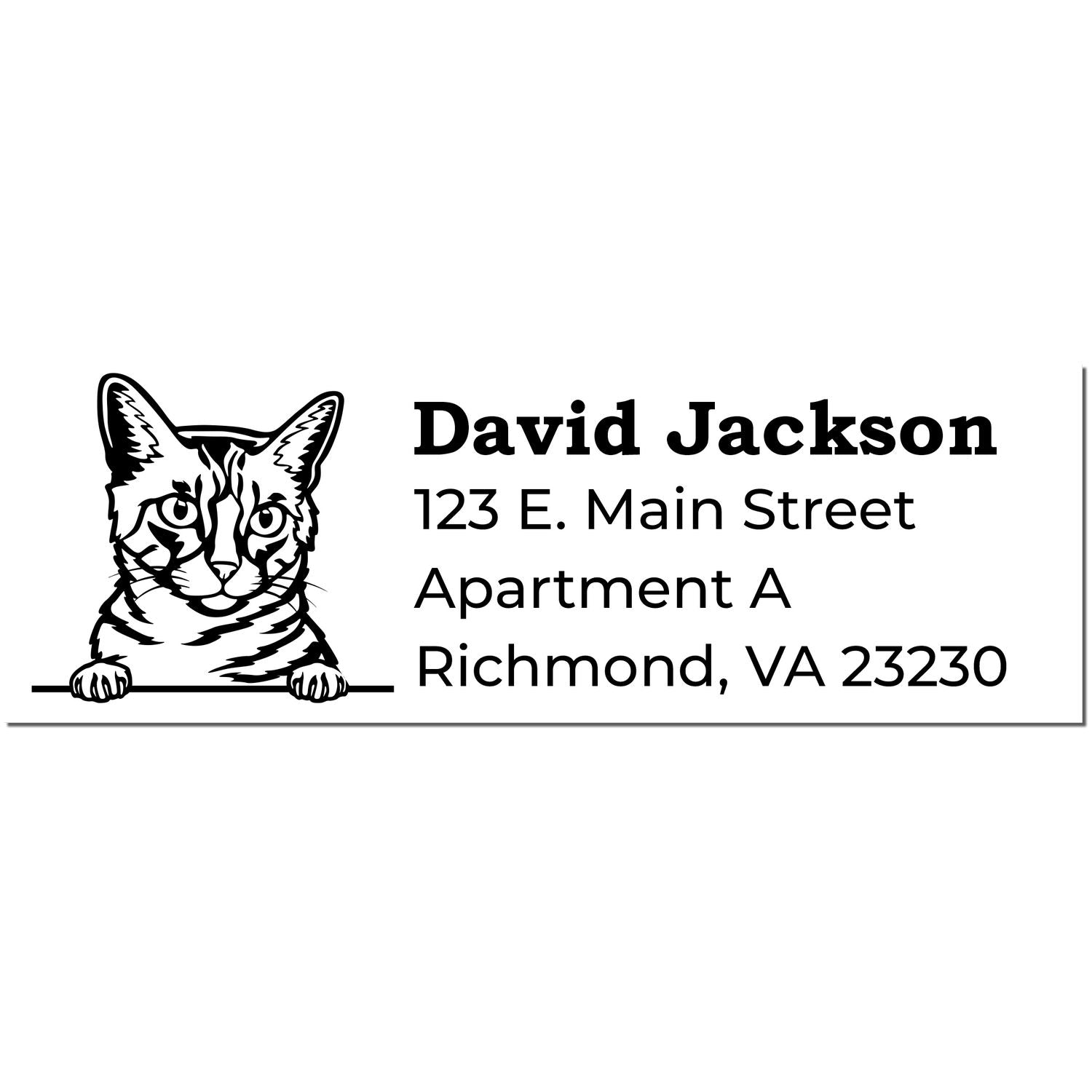 Slim Pre-Inked California Spangled Peeking Cat Return Address Stamp featuring a cat illustration above the address: David Jackson, 123 E. Main Street, Apartment A, Richmond, VA 23230.