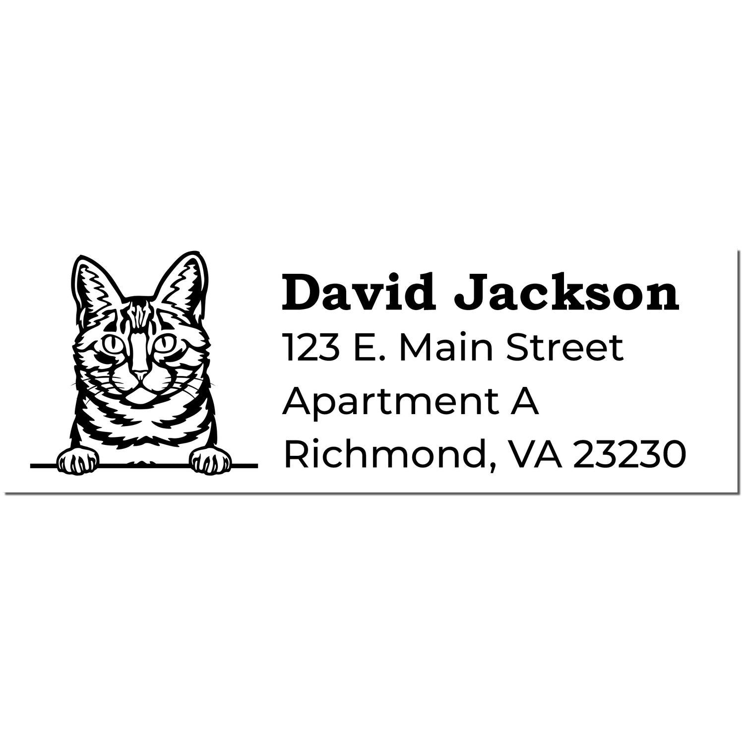 Self-Inking Dragon Li Custom Address Stamp featuring a detailed cat illustration with personalized address text: David Jackson, 123 E. Main Street, Apartment A, Richmond, VA 23230.