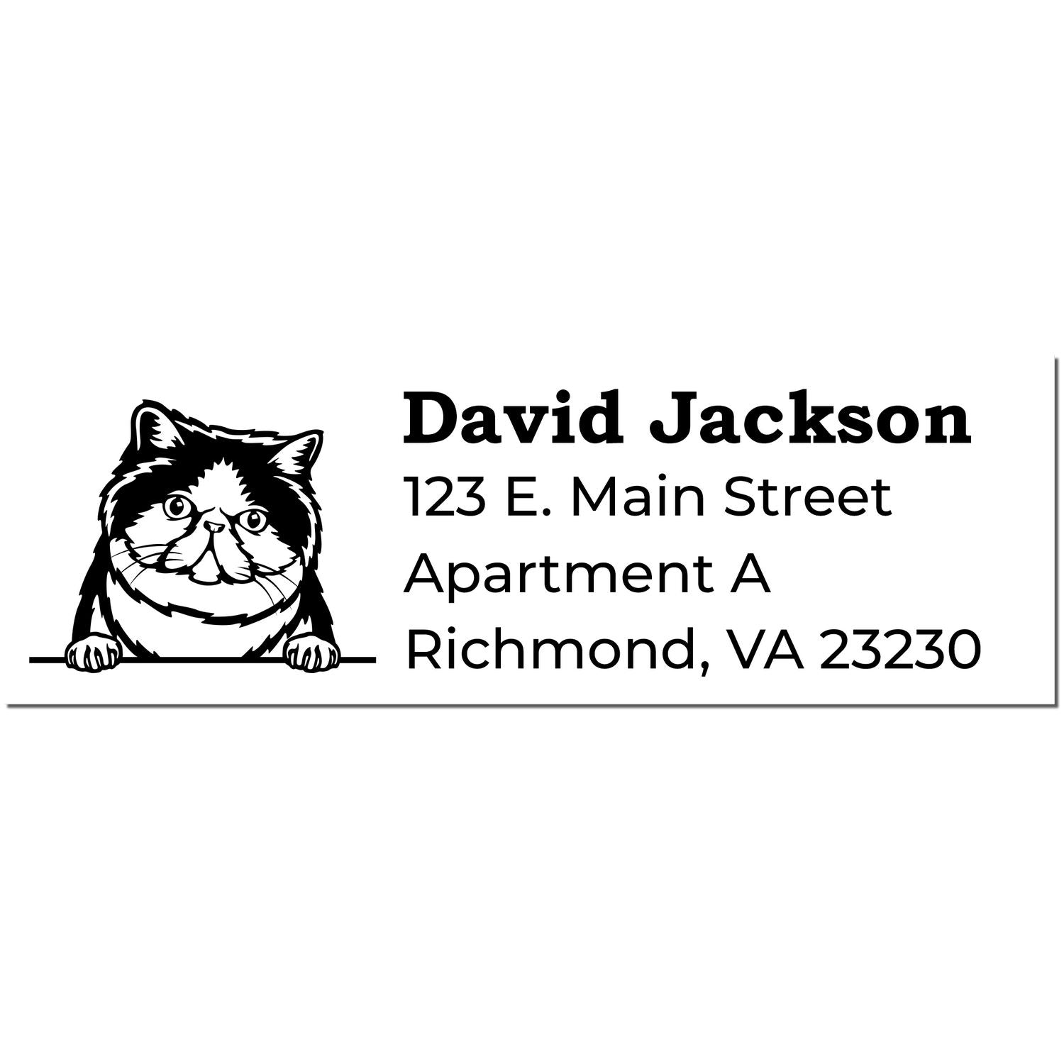 Wood Handle Exotic Shorthair Cat Address Stamp featuring a cute cat illustration with customizable address text. Perfect for personalizing mail with a charming feline touch.