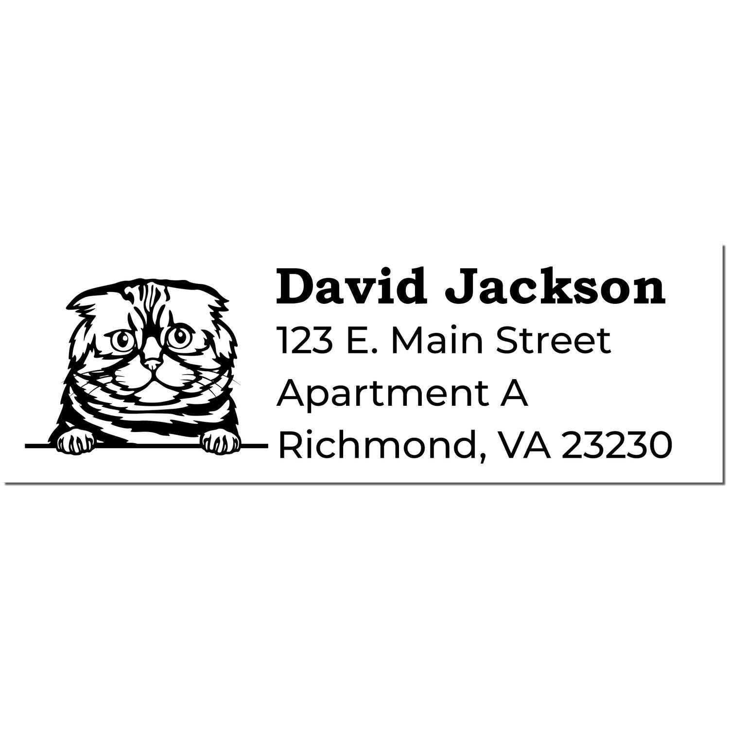 Self-Inking Foldex Custom Address Stamp featuring a cute cat illustration with sample text: David Jackson, 123 E. Main Street, Apartment A, Richmond, VA 23230.