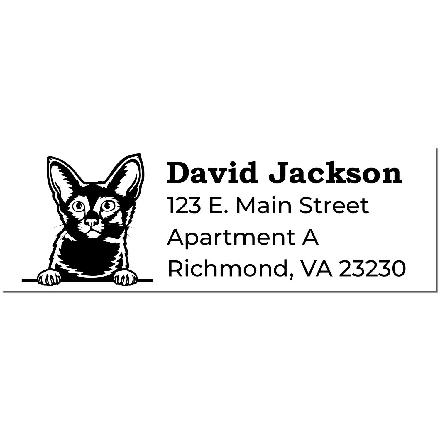 Image of a Self-Inking Javanese Custom Address Stamp featuring a cat illustration and sample address: David Jackson, 123 E. Main Street, Apartment A, Richmond, VA 23230.