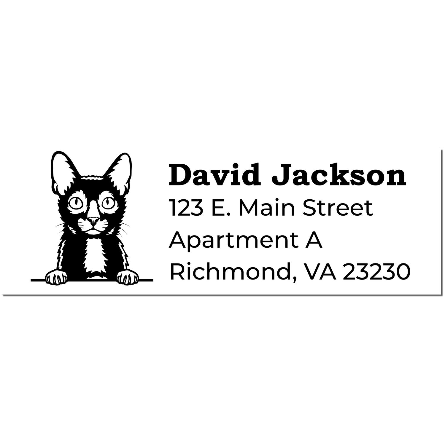 Self-Inking Lykoi Custom Address Stamp featuring a Lykoi cat illustration with sample text: David Jackson, 123 E. Main Street, Apartment A, Richmond, VA 23230.