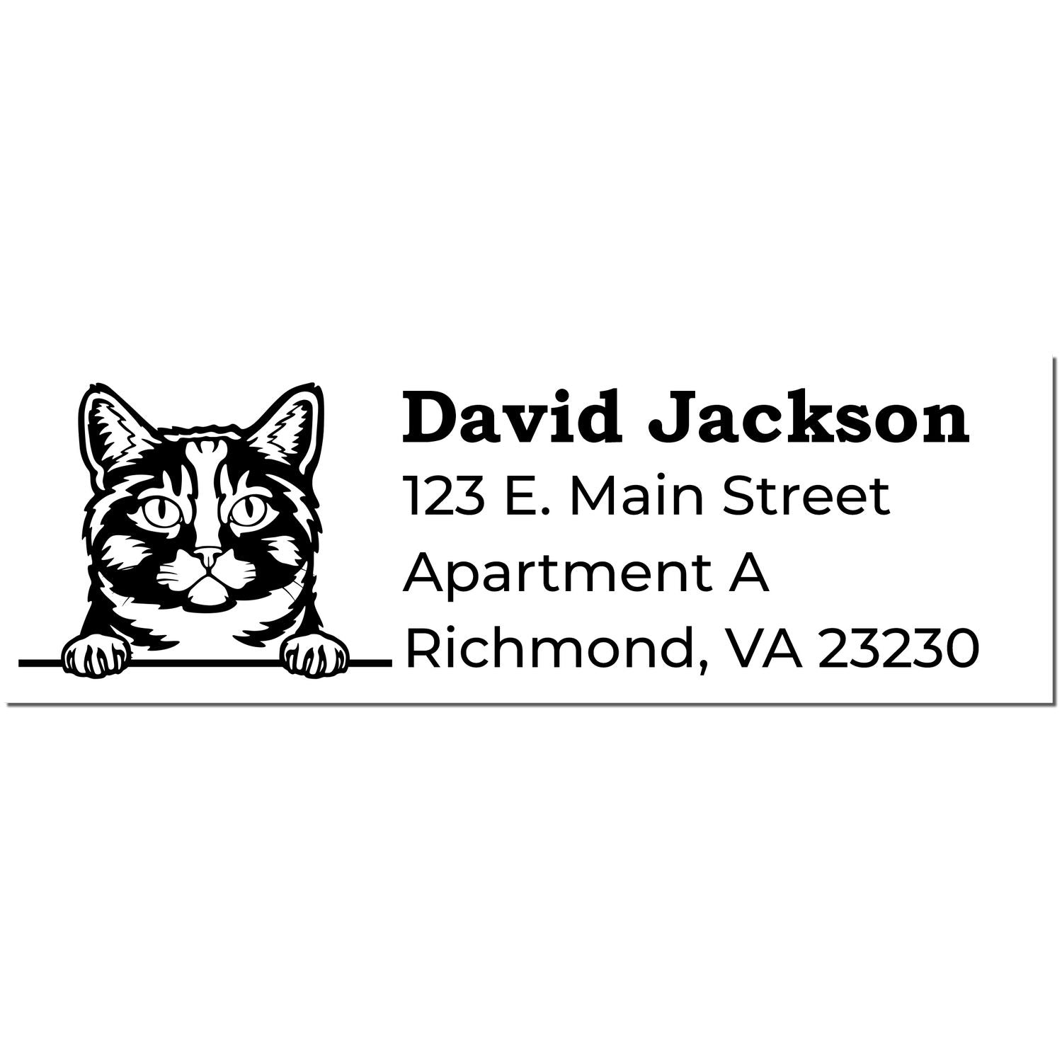 Self-Inking Munchkin Custom Address Stamp featuring a cute cat illustration with sample text: David Jackson, 123 E. Main Street, Apartment A, Richmond, VA 23230.