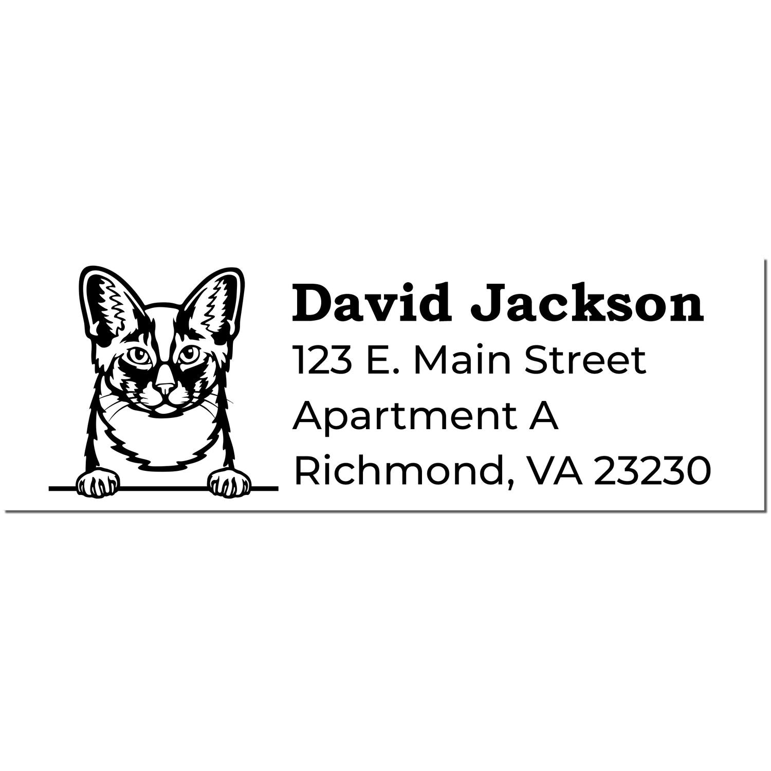 Self-Inking Oriental Longhair Custom Address Stamp featuring a cat illustration with sample address: David Jackson, 123 E. Main Street, Apartment A, Richmond, VA 23230.