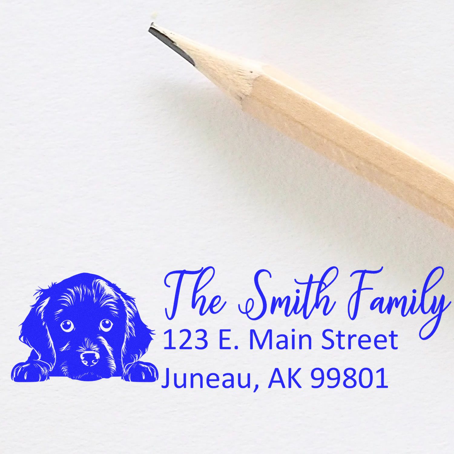 Boykin Spaniel Customized Address Stamp