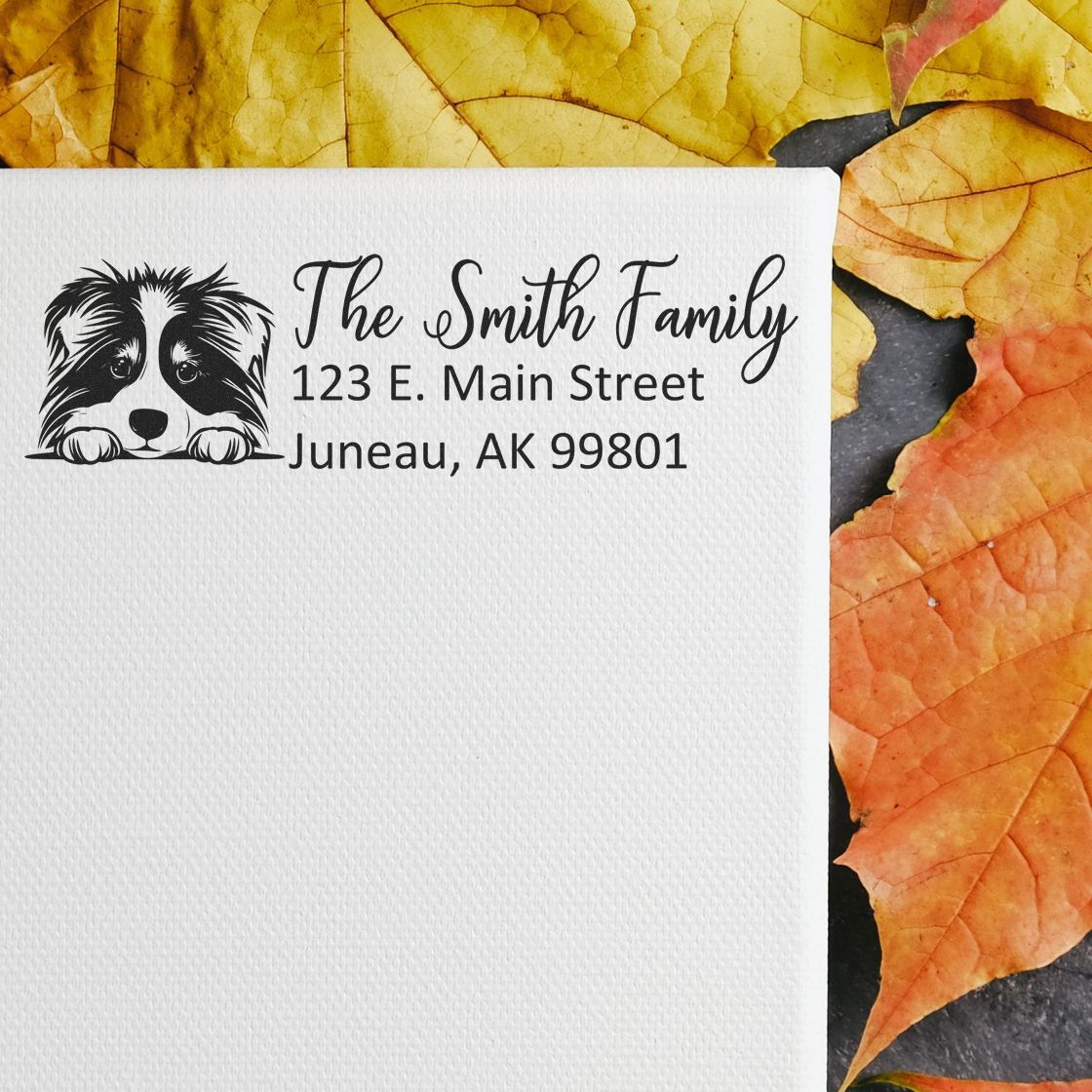 Collie Customized Address Stamp