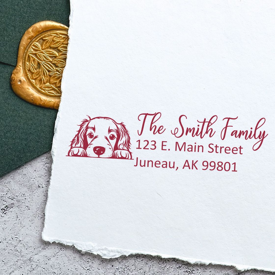 Irish Setter Customized Address Stamp