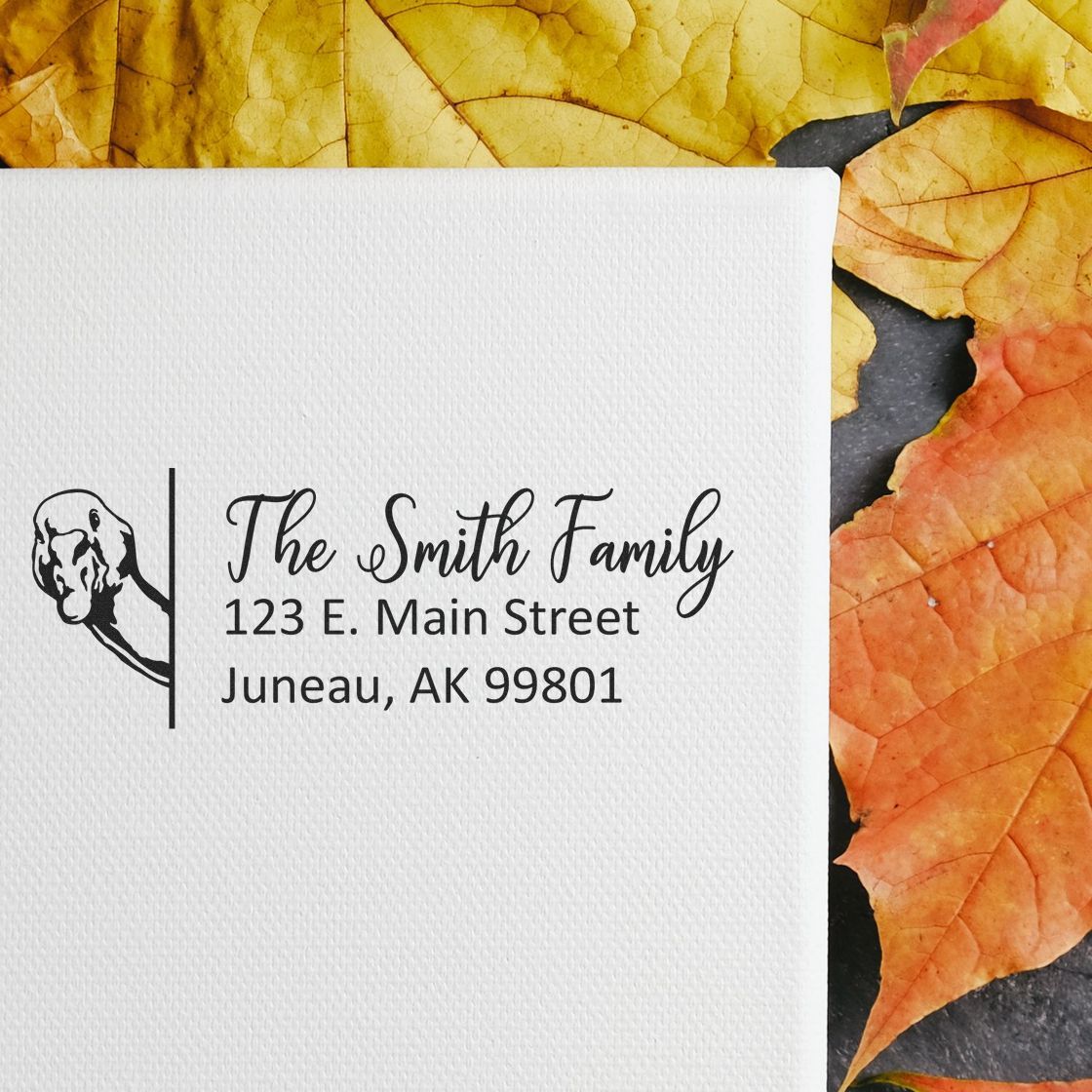 Personalized Goose Mailing Address Stamp