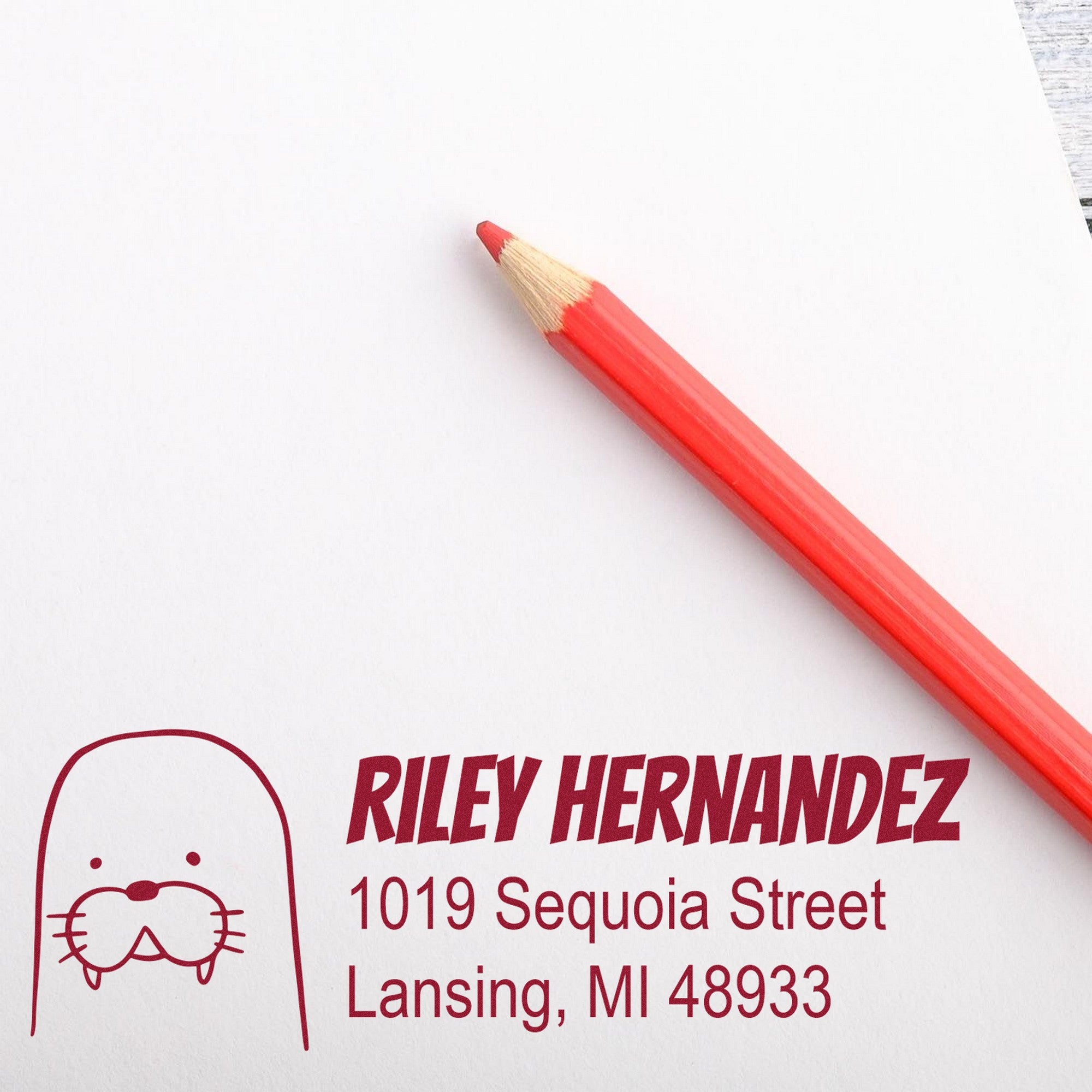 Slim Pre-Inked Wacky Walrus Customized Address Return Stamp