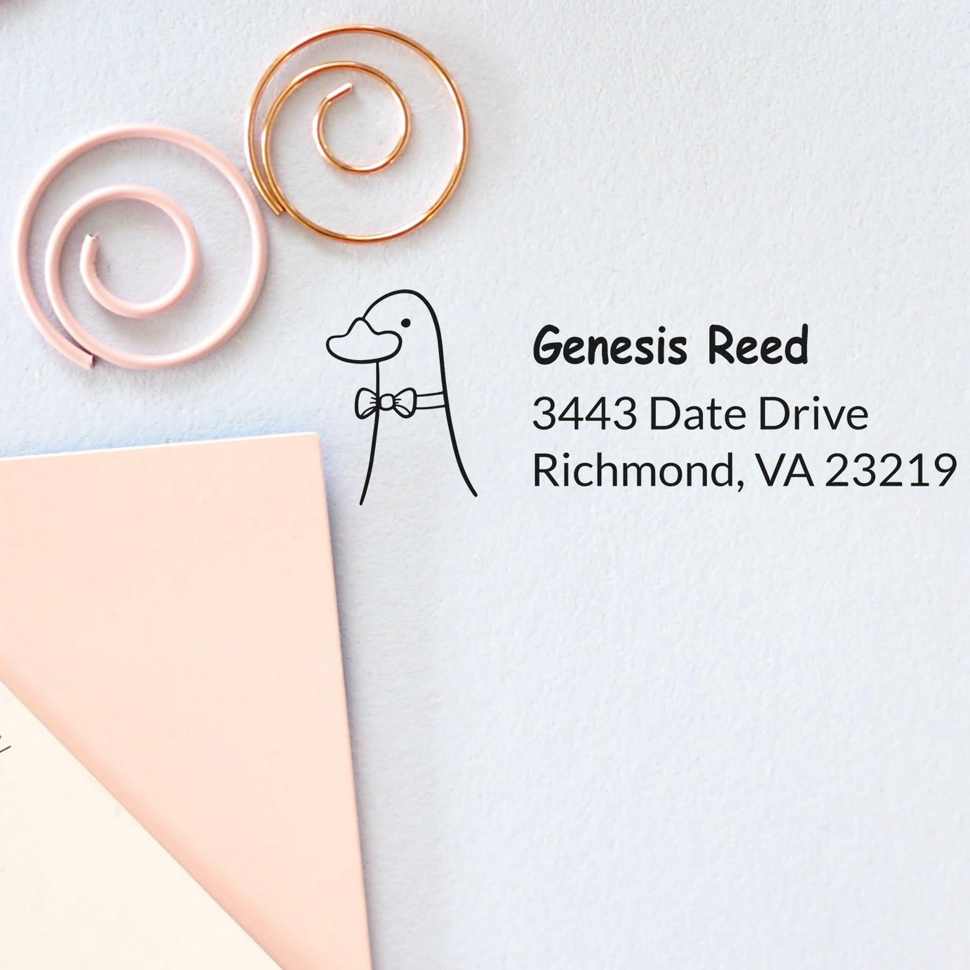 Slim Pre-Inked Dashing Duck Customize Address Return Stamp