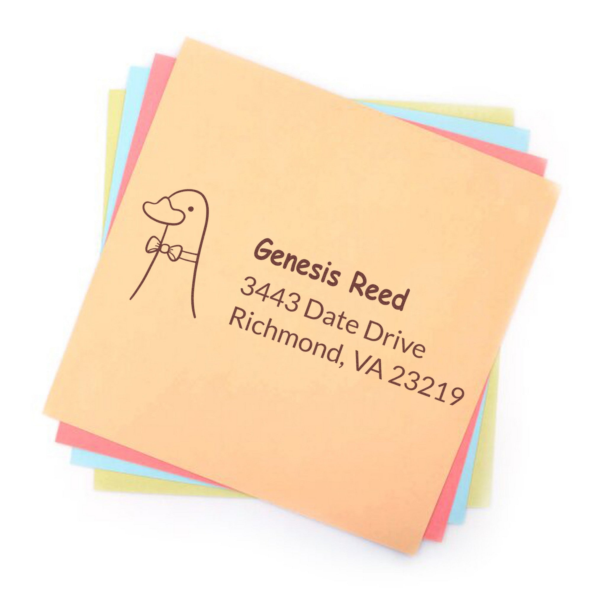 Slim Pre-Inked Dashing Duck Customize Address Return Stamp