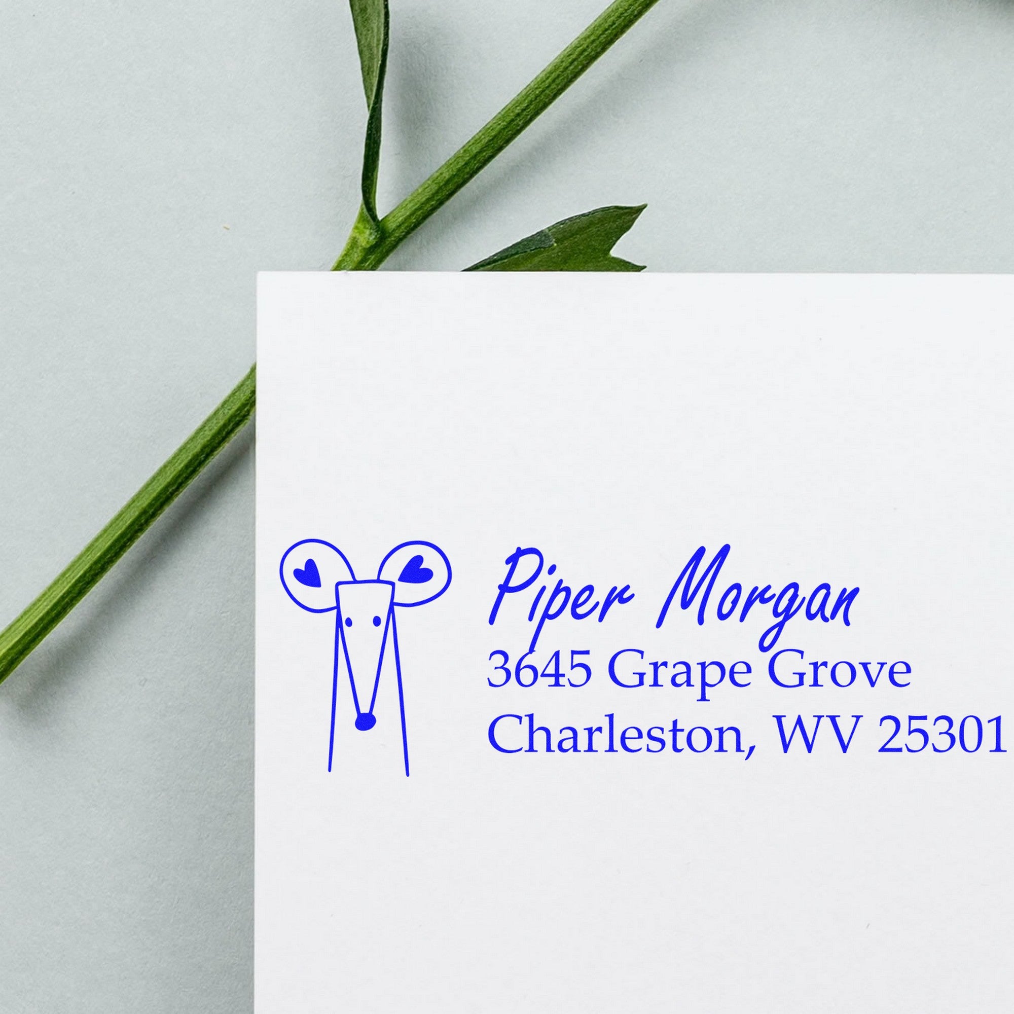 Mighty Mouse Customized Name and Address Self-Inking Stamp