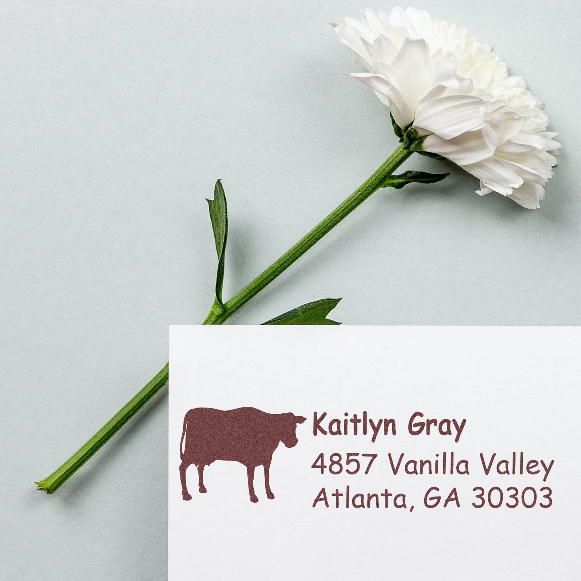 Self-Inking Stoic Steer Handmade Mailing Address Stamp