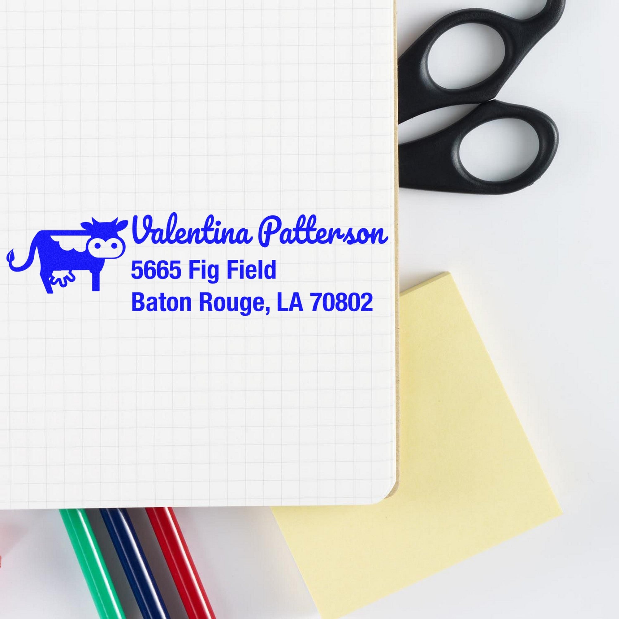 Curious Cow Custom Mail Rubber Stamp