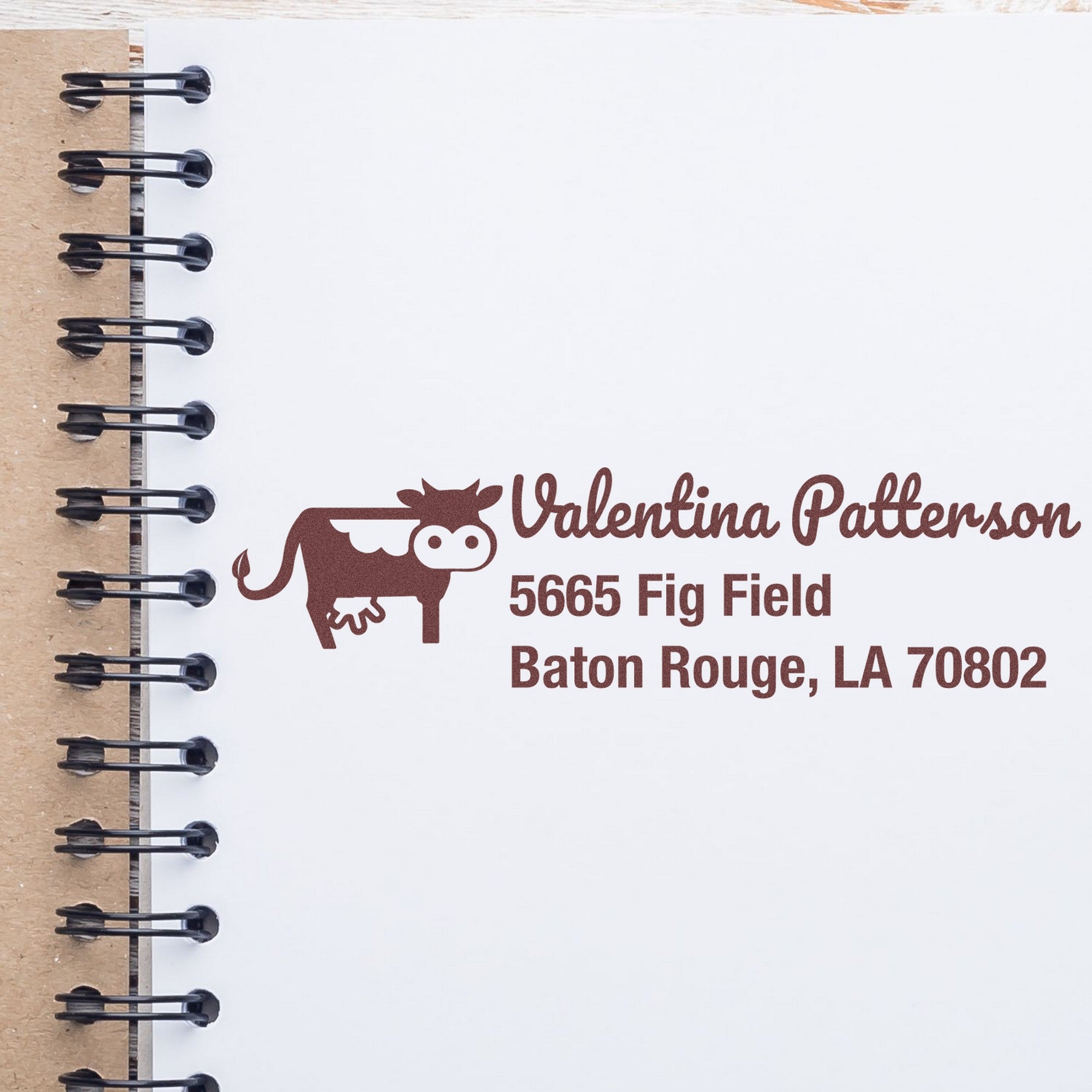 Curious Cow Custom Mail Rubber Stamp