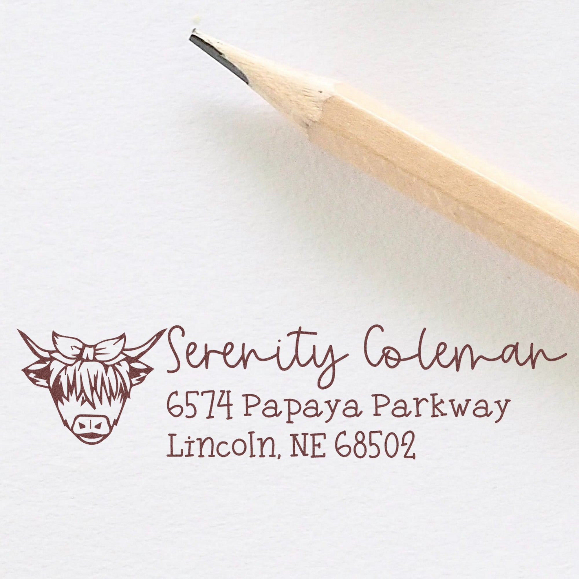 Lazy Cow Customized Return Address Rubber Stamp