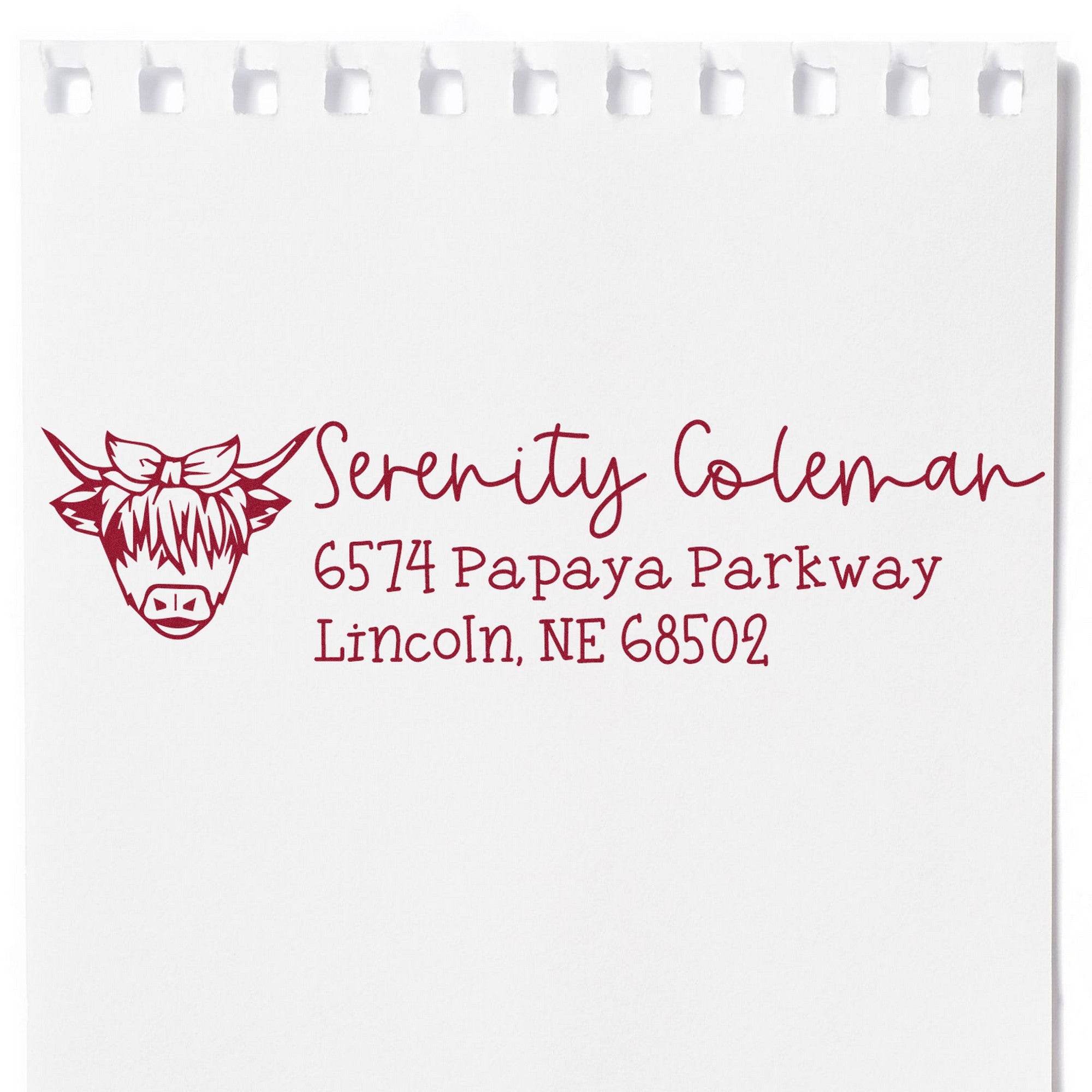 Lazy Cow Customized Return Address Rubber Stamp