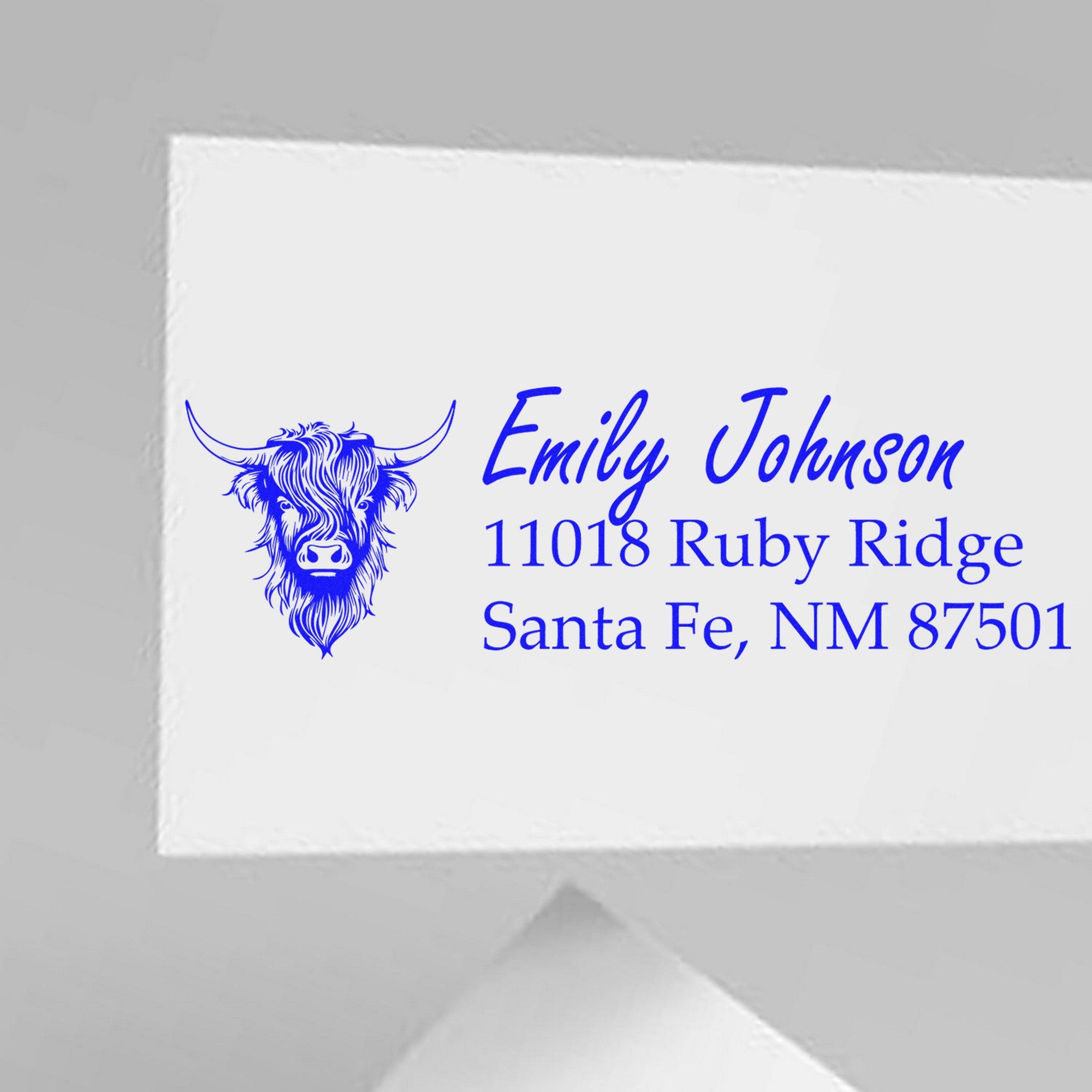 Slim Pre-Inked Holy Cow Customizable Name and Address Stamp