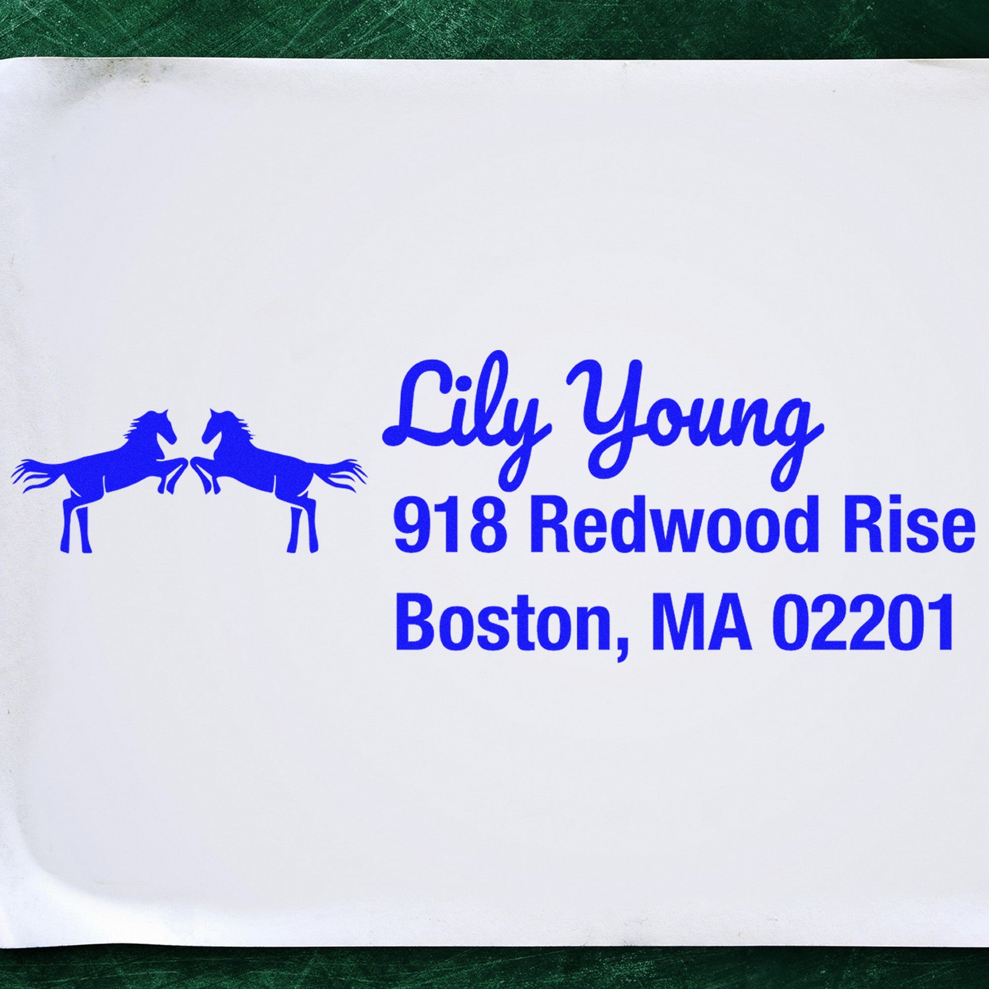 Brave Warriors Horse Customize Mail Address Rubber Stamp