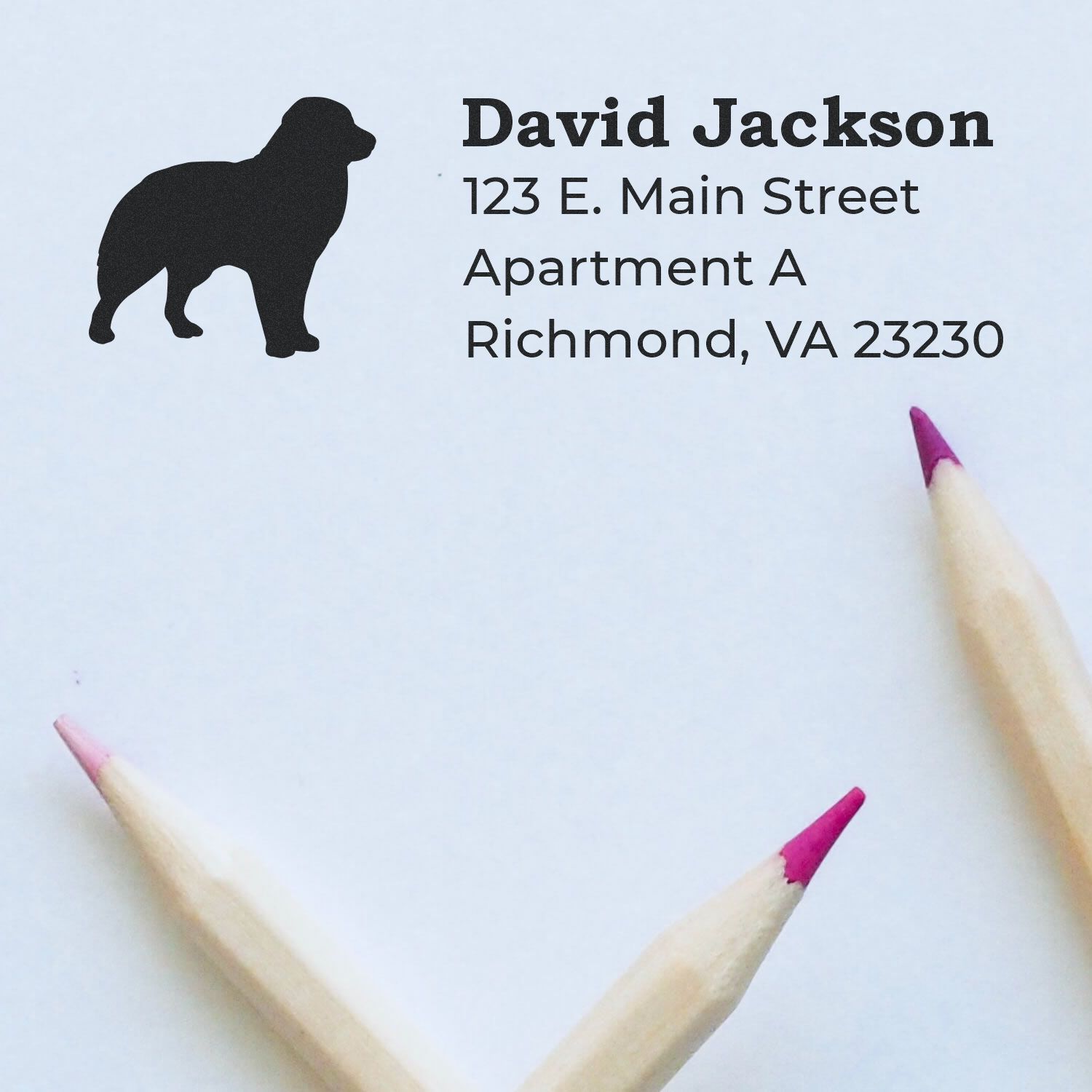 Australian Shepherd Silhouette Address Rubber Stamp on paper with text: David Jackson, 123 E. Main Street, Apartment A, Richmond, VA 23230. Two pencils with pink tips are nearby.