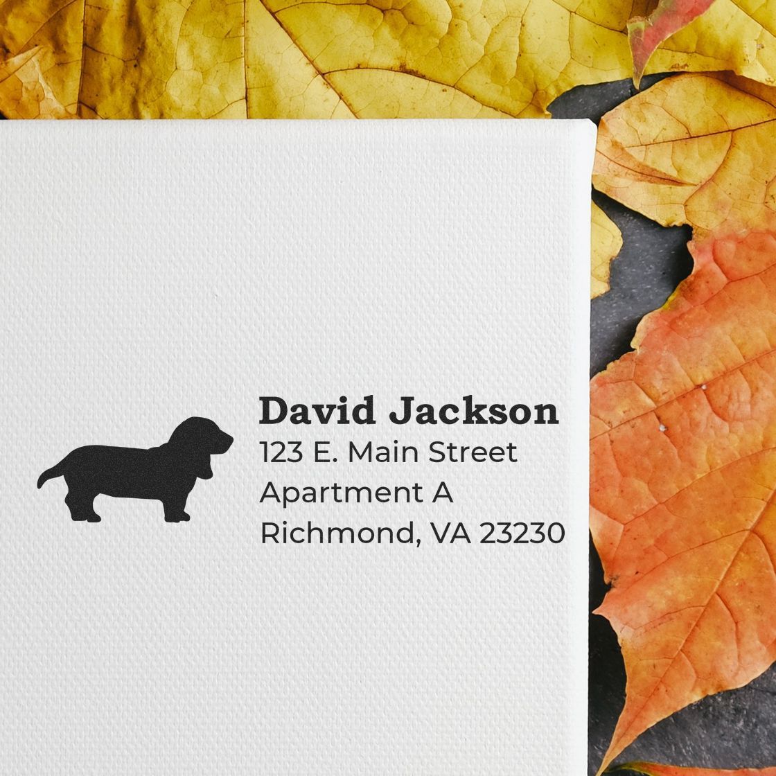 Basset Hound Silhouette Address Rubber Stamp on white paper with autumn leaves. Displays name, address, and silhouette of a Basset Hound. Perfect for personalized stationery.