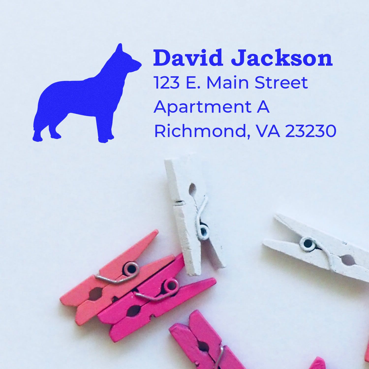 Slim Pre-Inked Blue Heeler Address Stamp imprint on paper with a blue dog silhouette and address details, surrounded by colorful clothespins.