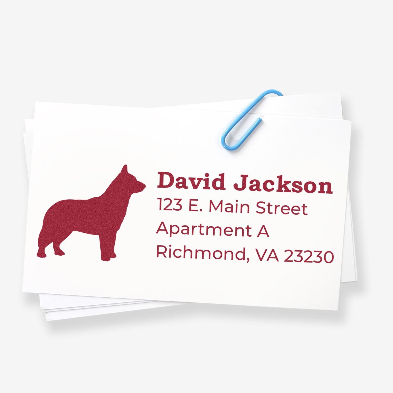 Slim Pre-Inked Blue Heeler Address Stamp on white card with red dog silhouette and address text. Blue paperclip holds multiple cards.