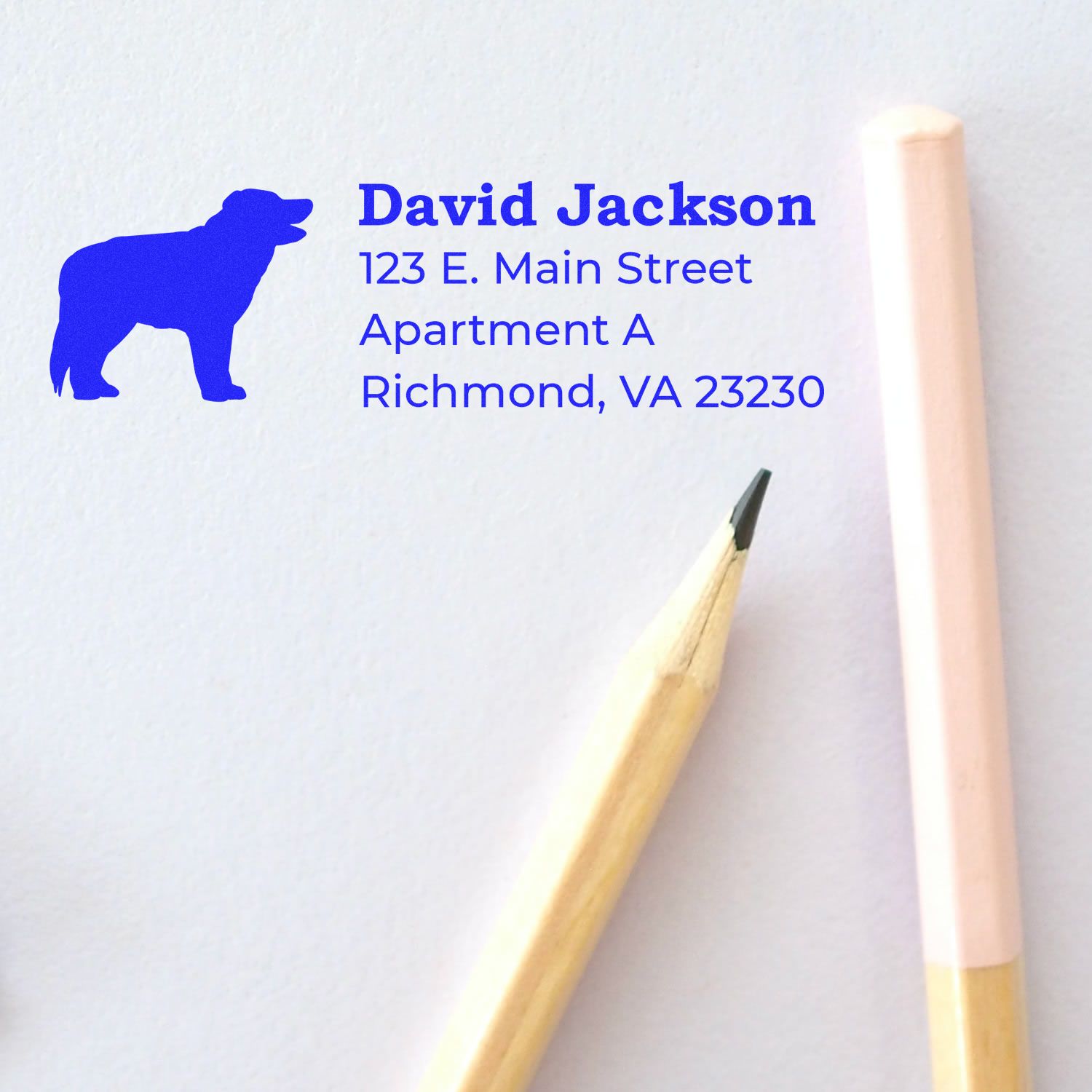 A Slim Pre-Inked Border Collie Address Stamp imprint on white paper, featuring a blue border collie silhouette and address details, with a pencil and pink pen nearby.