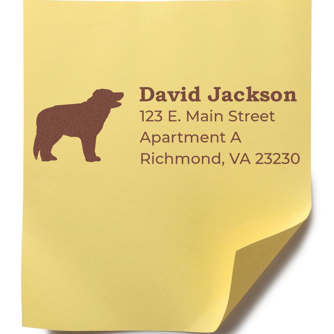 Yellow paper with a brown Border Collie silhouette and personalized address details. Showcasing the PSI Pre-Inked Personalized Border Collie Address Stamp in use.