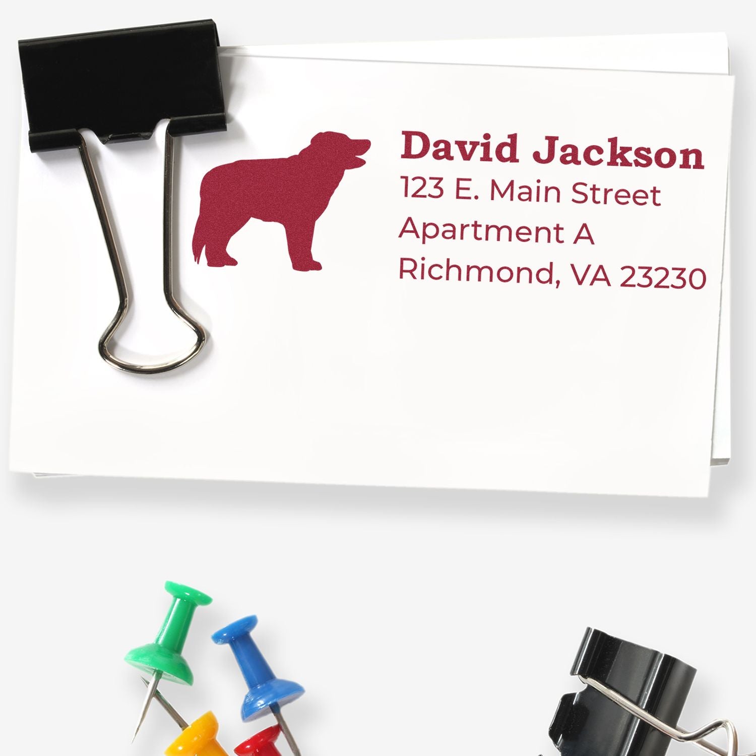 Self-Inking Border Collie Dog Address Stamp on an envelope with a red dog silhouette, paper clip, and colorful push pins. Text reads: David Jackson, 123 E. Main Street, Richmond, VA 23230.