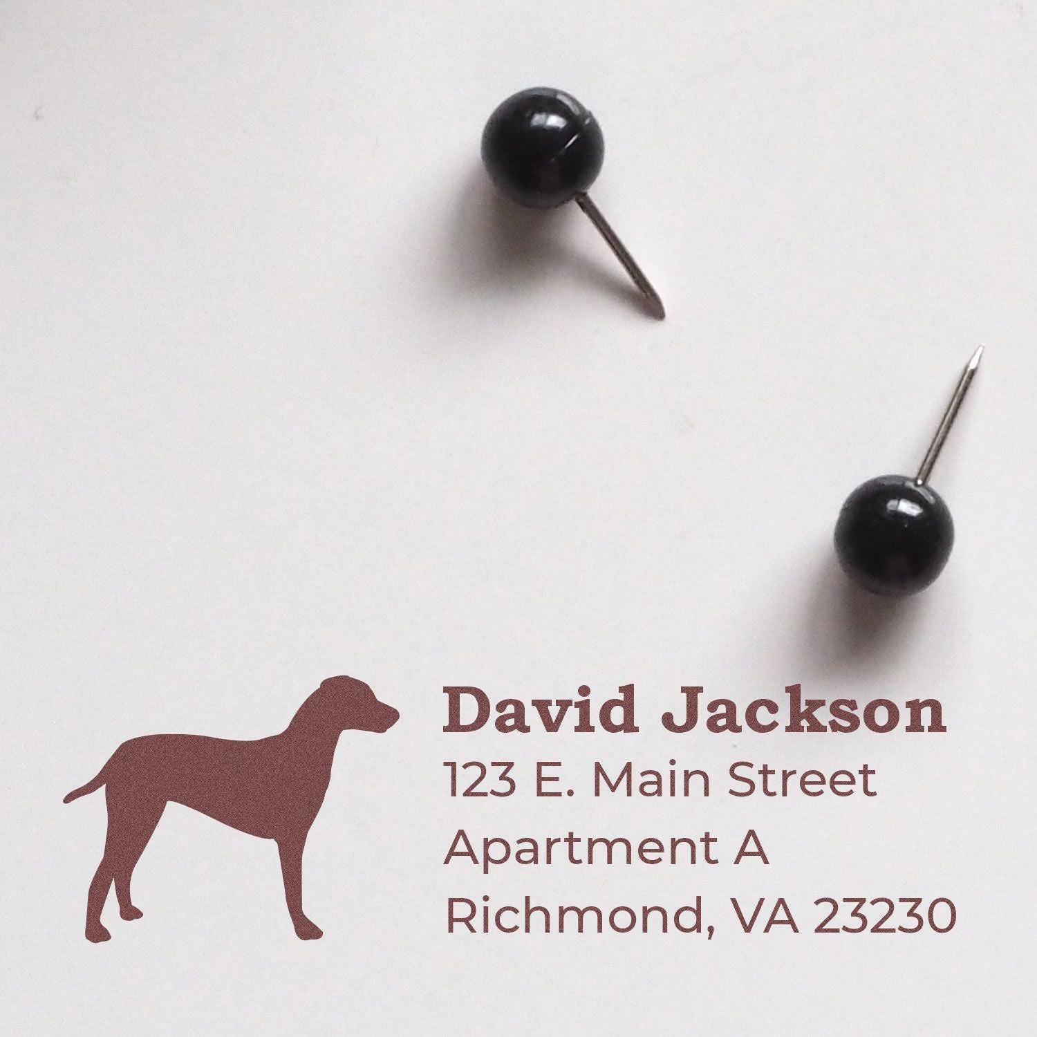 Dalmatian Silhouette Address Rubber Stamp on white paper with text: David Jackson, 123 E. Main Street, Apartment A, Richmond, VA 23230. Two black push pins nearby.