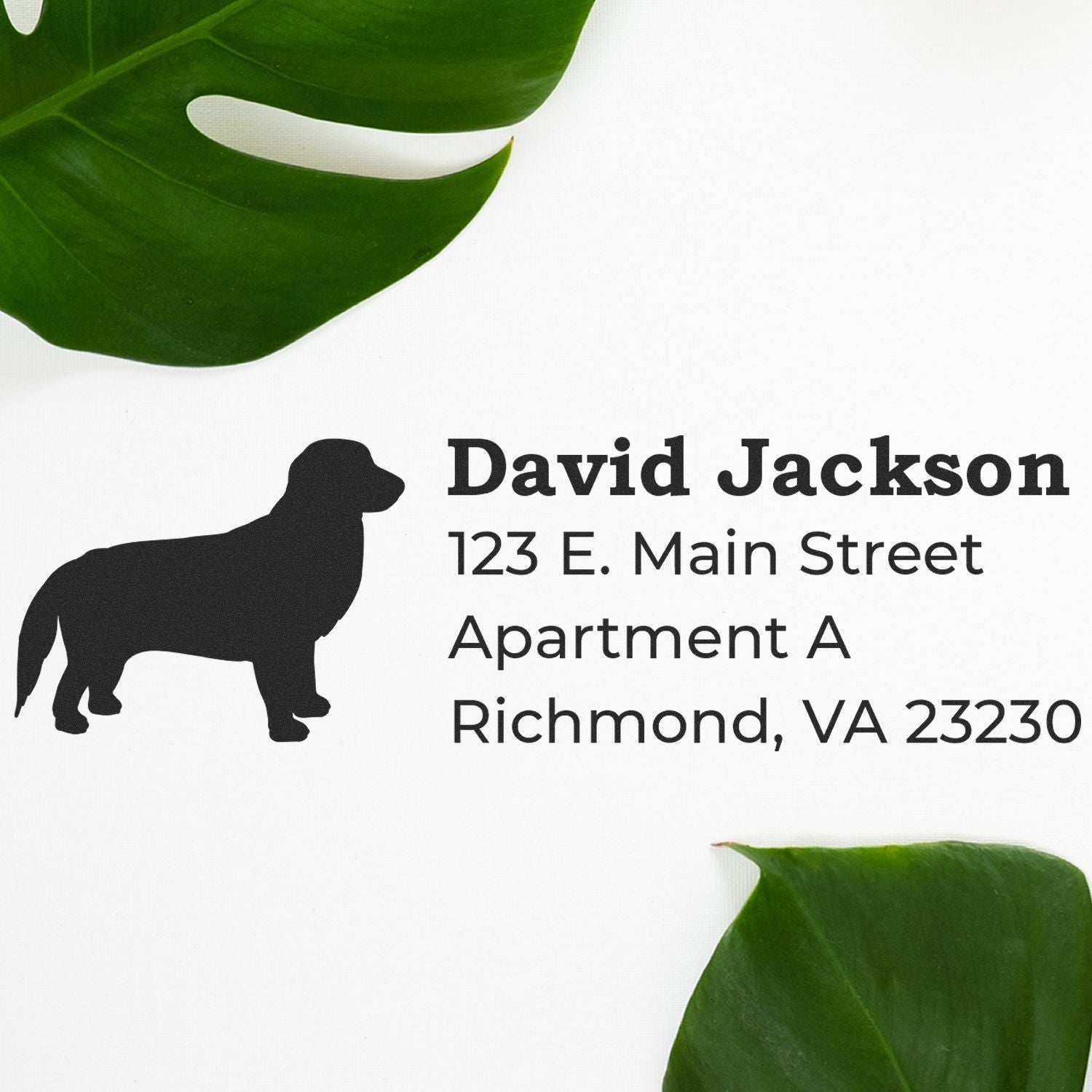 Self-Inking Golden Retriever Dog Address Stamp on white paper with a silhouette of a dog, personalized with name and address. Surrounded by green leaves for a stylish touch.