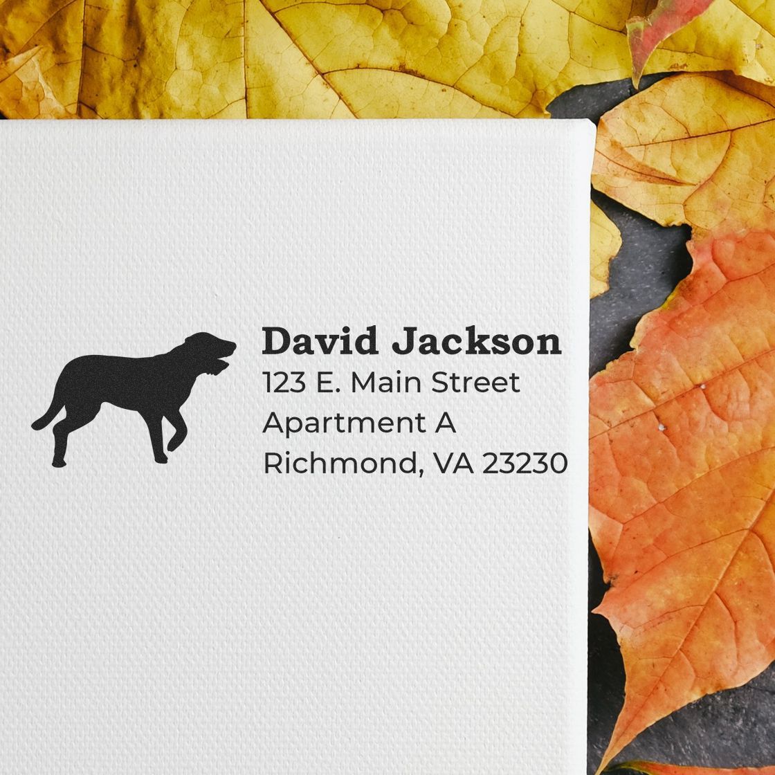 Self-Inking Irish Wolfhound Dog Address Stamp on white paper with a silhouette of a dog, surrounded by autumn leaves. Text reads: David Jackson, 123 E. Main Street, Apartment A, Richmond, VA 23230.