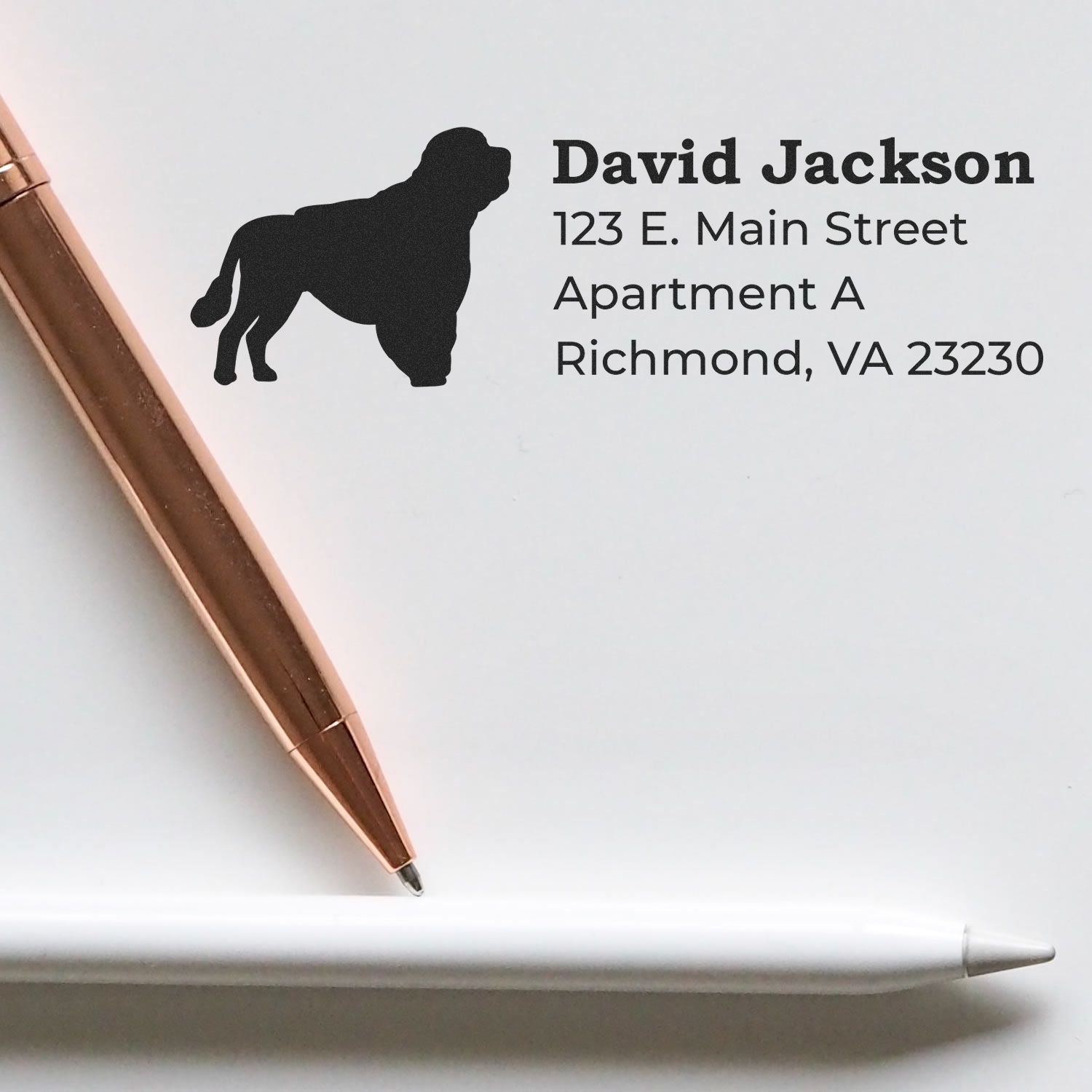 Self-Inking Portuguese Water Dog Address Stamp on white paper with a silhouette of the dog, next to a gold and a white pen, showcasing a sample address in elegant black font.