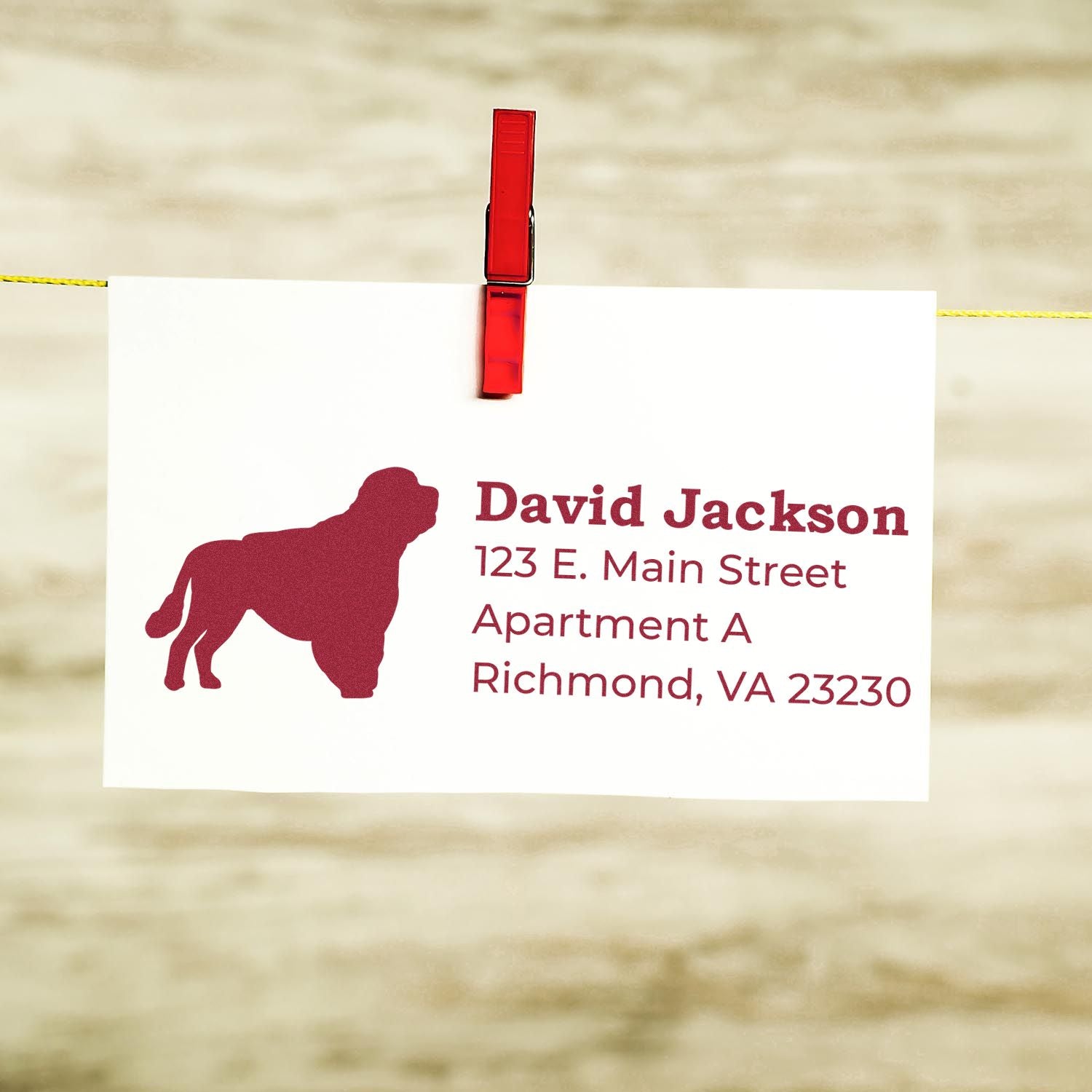 Portuguese Water Dog Silhouette Address Rubber Stamp on white card with red clip, featuring a dog silhouette and sample address text in red.