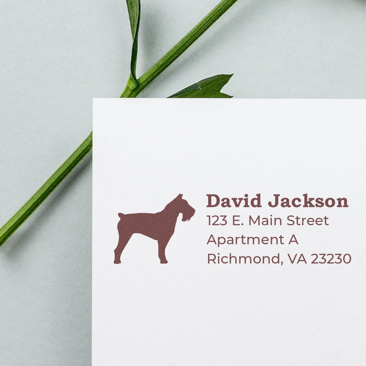 Self-Inking Schnauzer Dog Address Stamp on white paper with a schnauzer silhouette, personalized address, and a green stem on a light background.