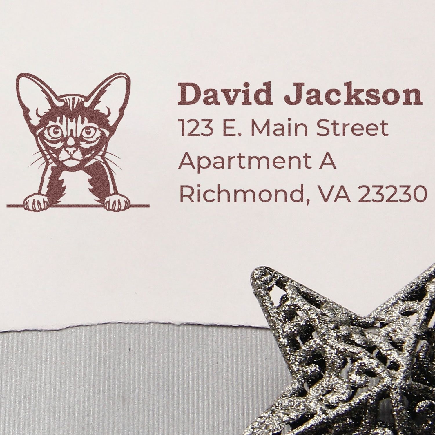 Self-Inking Abyssinian Custom Address Stamp featuring a cute cat design, shown on an envelope with the address: 123 E. Main Street, Apartment A, Richmond, VA 23230, next to a decorative star.