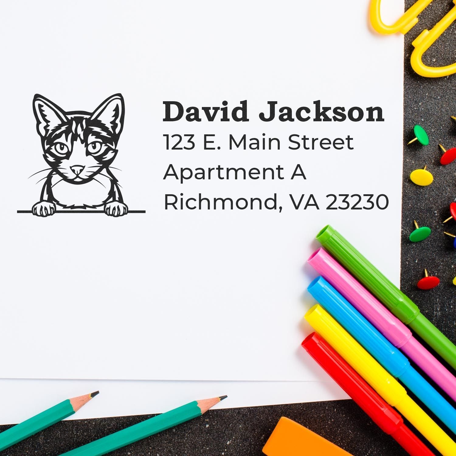 Wood Handle Aegean Cat Address Stamp on white paper with a cat illustration and sample address. Surrounded by colorful pens and paper clips on a wooden surface.