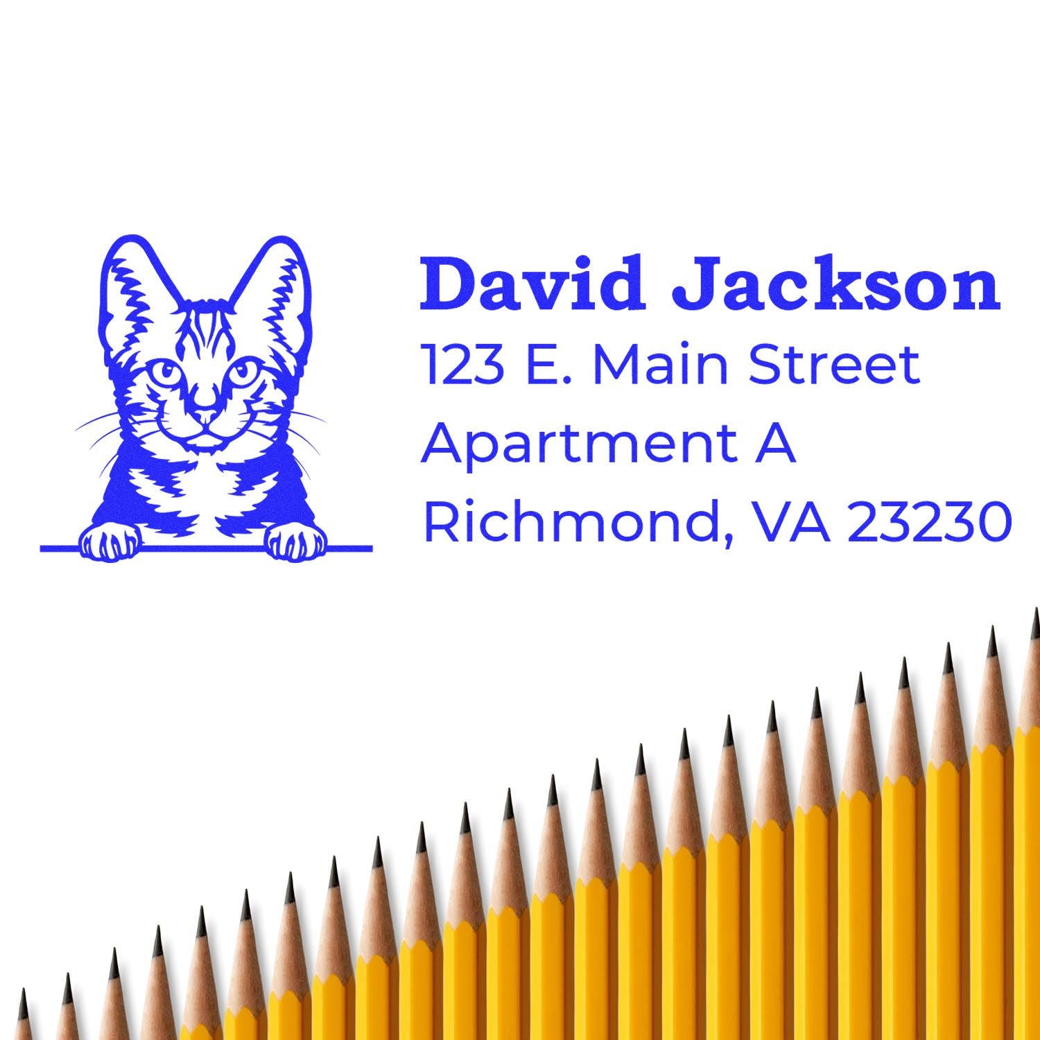 Self-Inking American Shorthair Custom Address Stamp with a cat design, shown on an envelope. Includes sample address text. Pencils are lined up at the bottom for decoration.