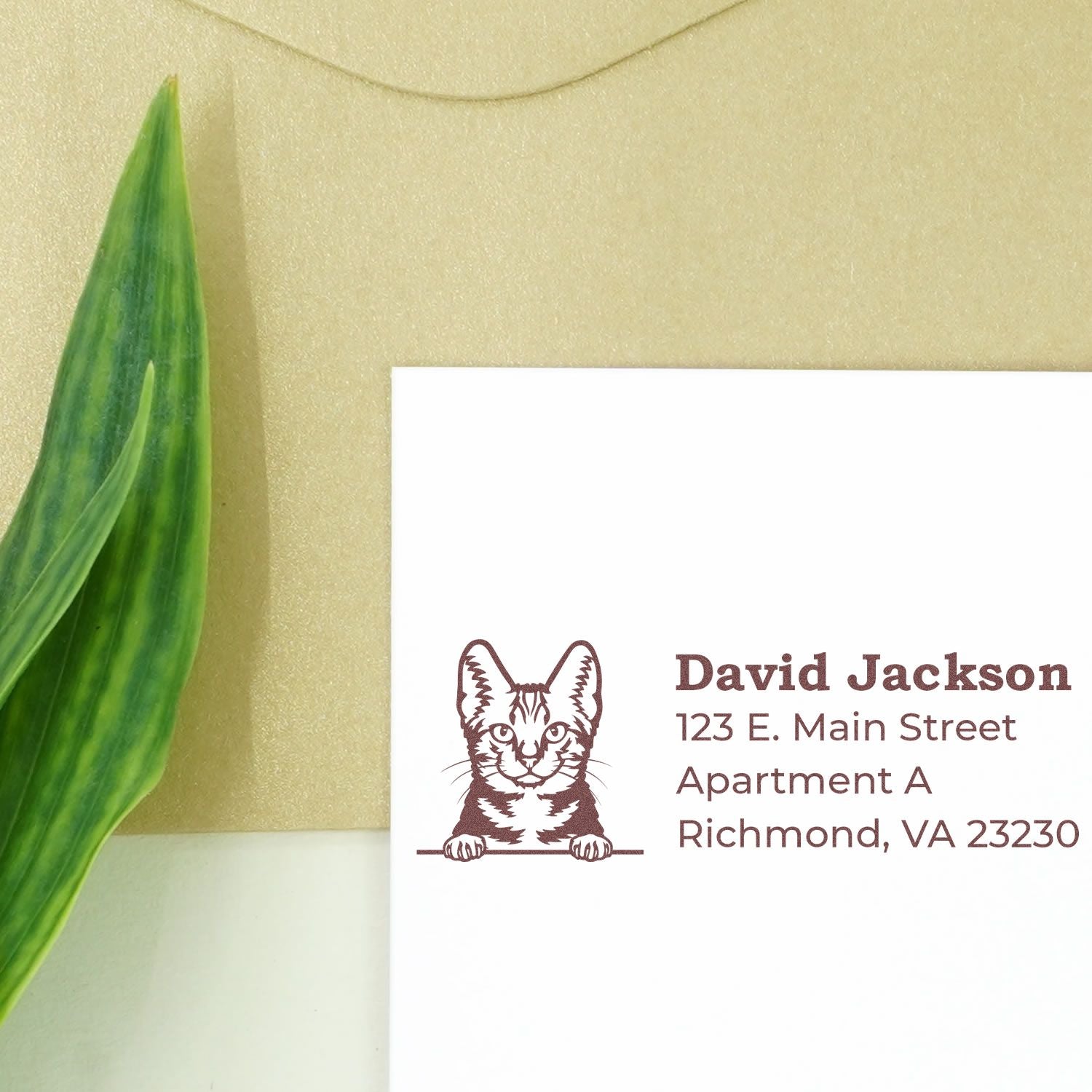 Self-Inking American Shorthair Custom Address Stamp on an envelope with a cat design, next to a green leaf. Address reads: David Jackson, 123 E. Main Street, Apartment A, Richmond, VA 23230.