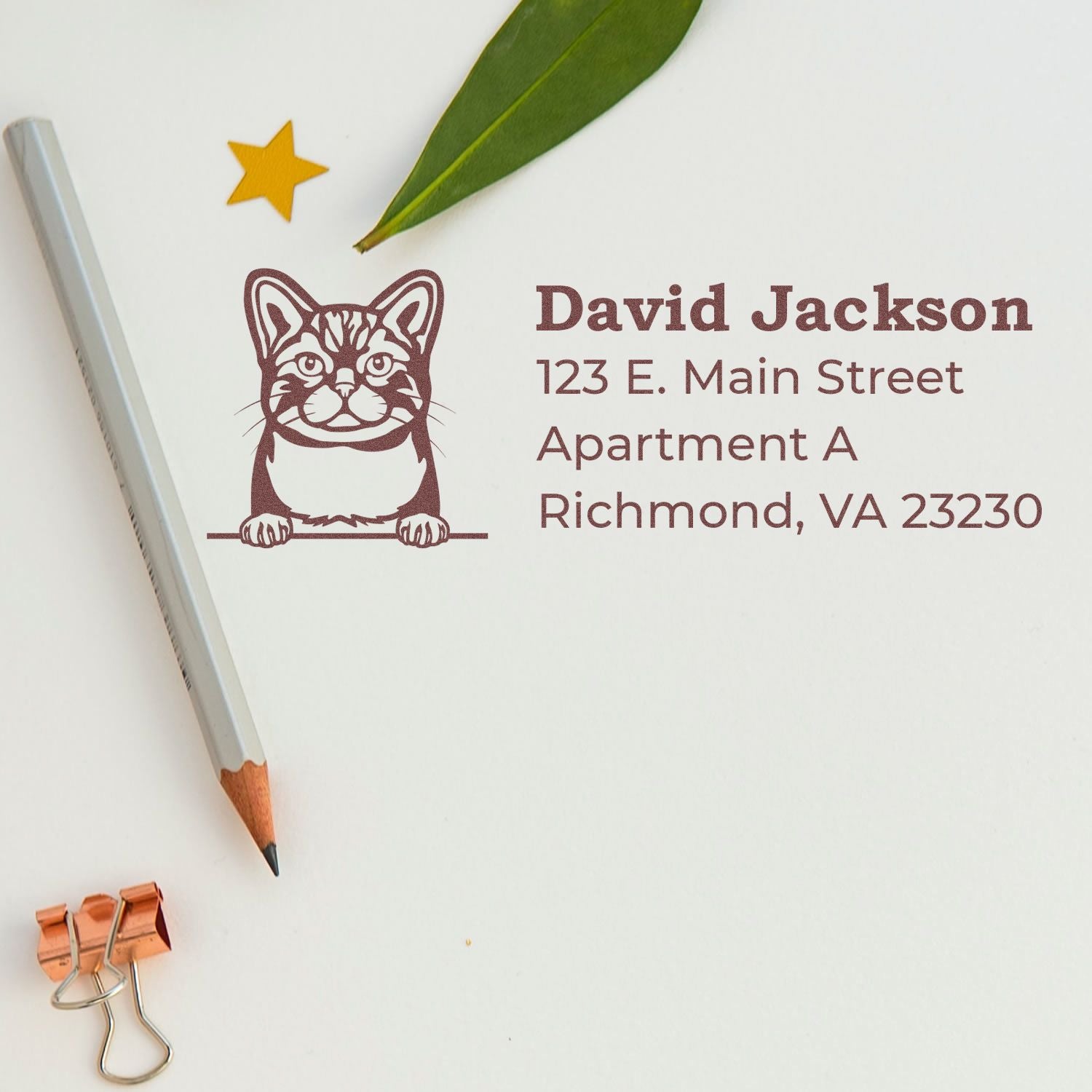 PSI Pre-Inked Peeking American Wirehair Cat Personalized Address Stamp on white paper with a pencil, leaf, and star sticker. Features a cute cat illustration above the address text.