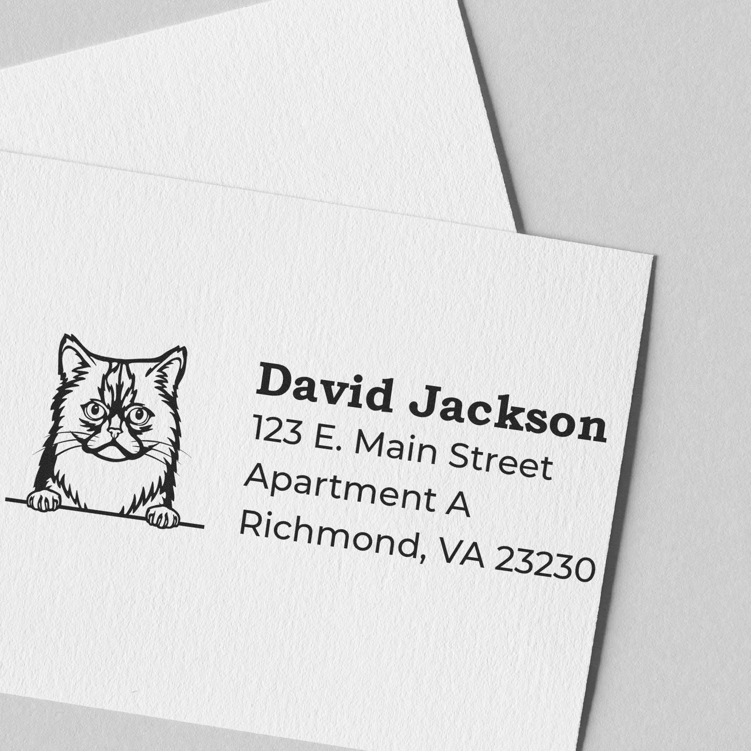 Slim Pre-Inked Asian Semi Long Hair Peeking Cat Return Address Stamp on white paper, featuring a cute cat illustration and sample address text in bold, clear font.