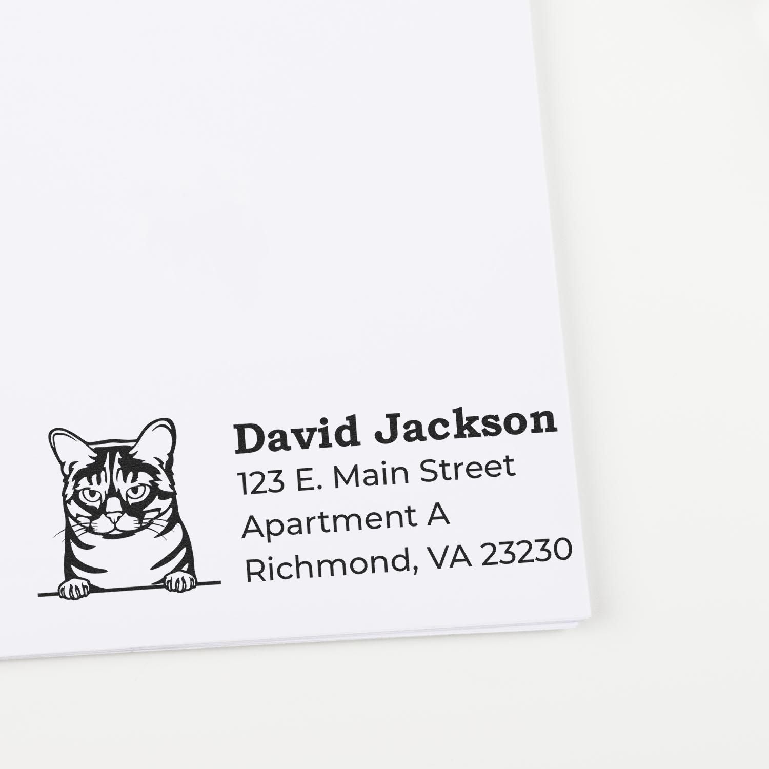 Wood Handle Australian Mist Cat Address Stamp on white paper, featuring a cat illustration above the name and address: David Jackson, 123 E. Main Street, Apartment A, Richmond, VA 23230.