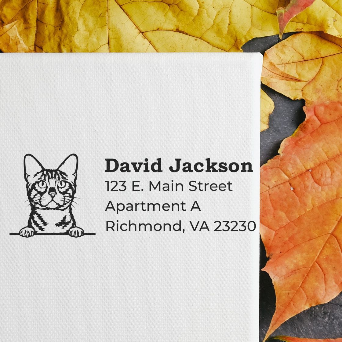 Self-Inking Bengal Custom Address Stamp on white paper with a cat illustration, surrounded by autumn leaves. Text reads: David Jackson, 123 E. Main Street, Apartment A, Richmond, VA 23230.